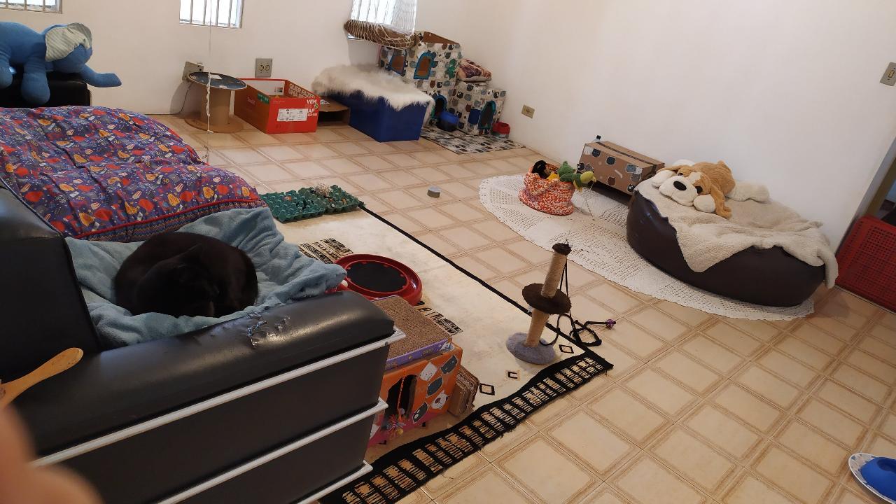 Trabalho de Katia do — foto 5