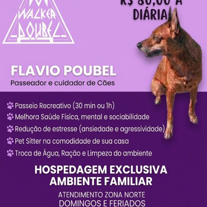 Flavio Poubel Pinto