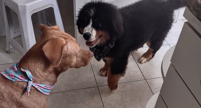Foto de Kelly Cristina