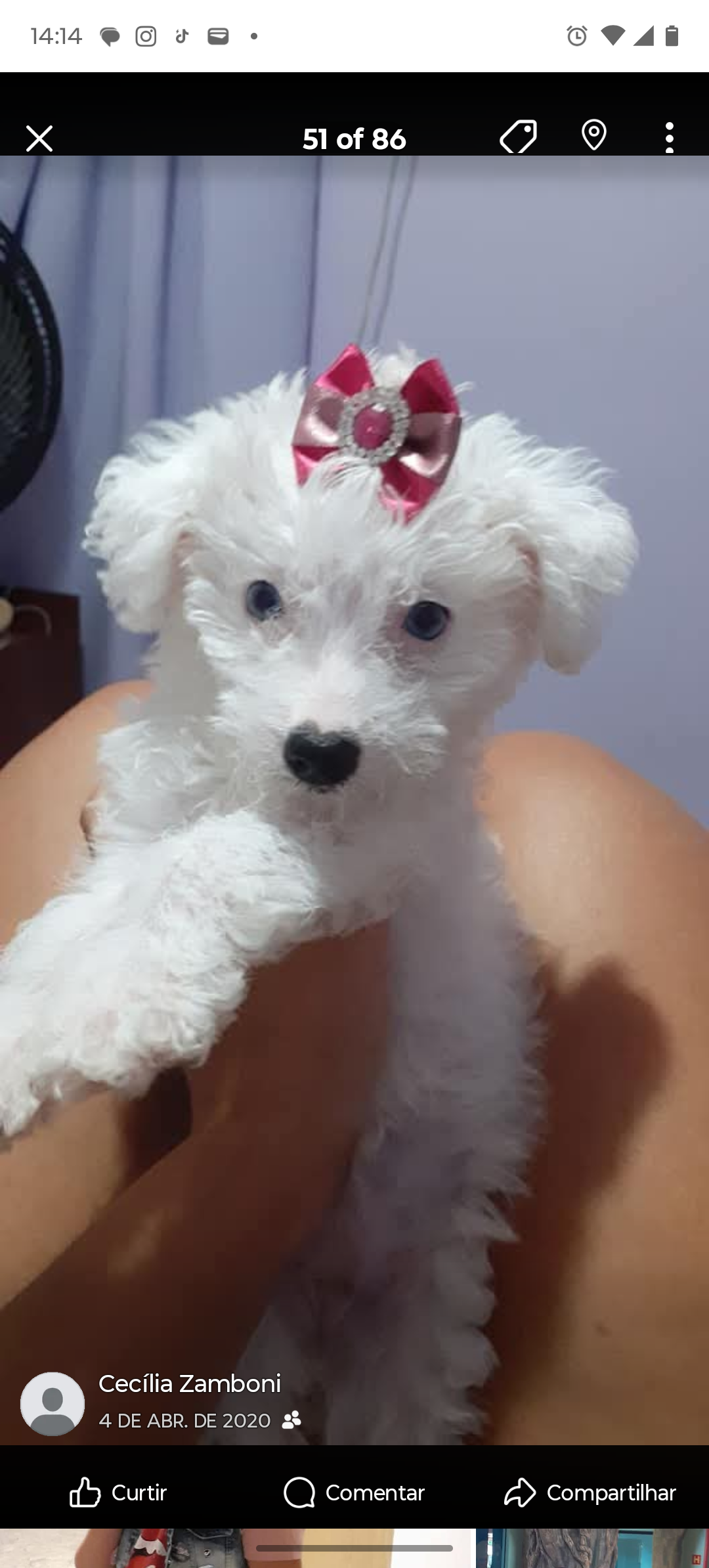 Trabalho de Cecília Montagnini — foto 4
