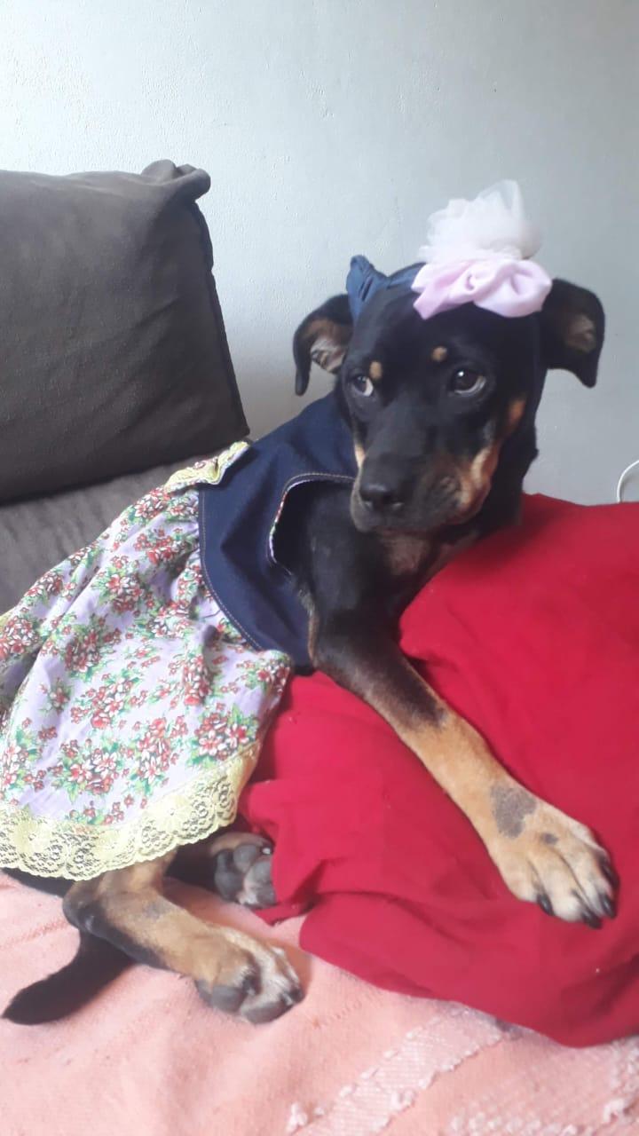 Trabalho de Helbua Regina — foto 3