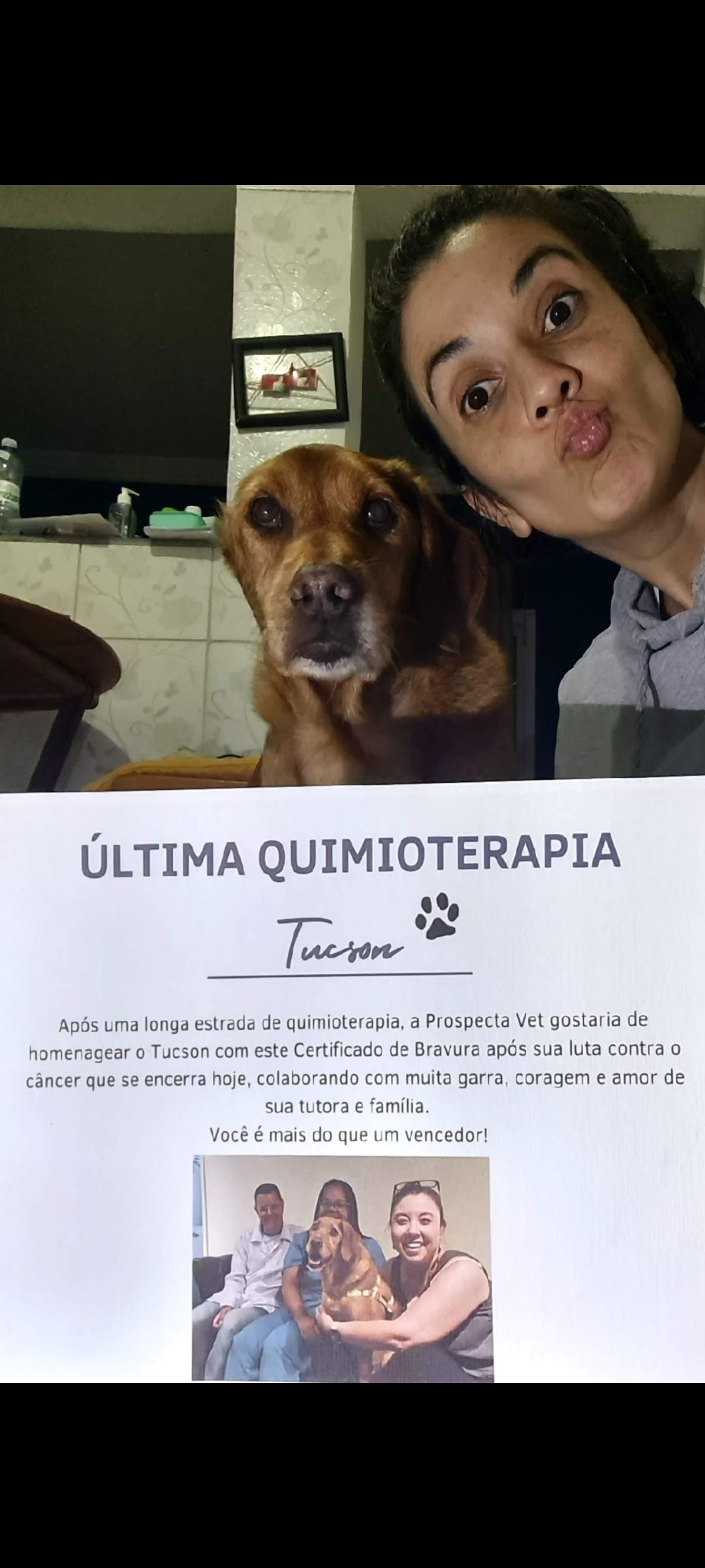 Trabalho de Fernanda Cristina — foto 6