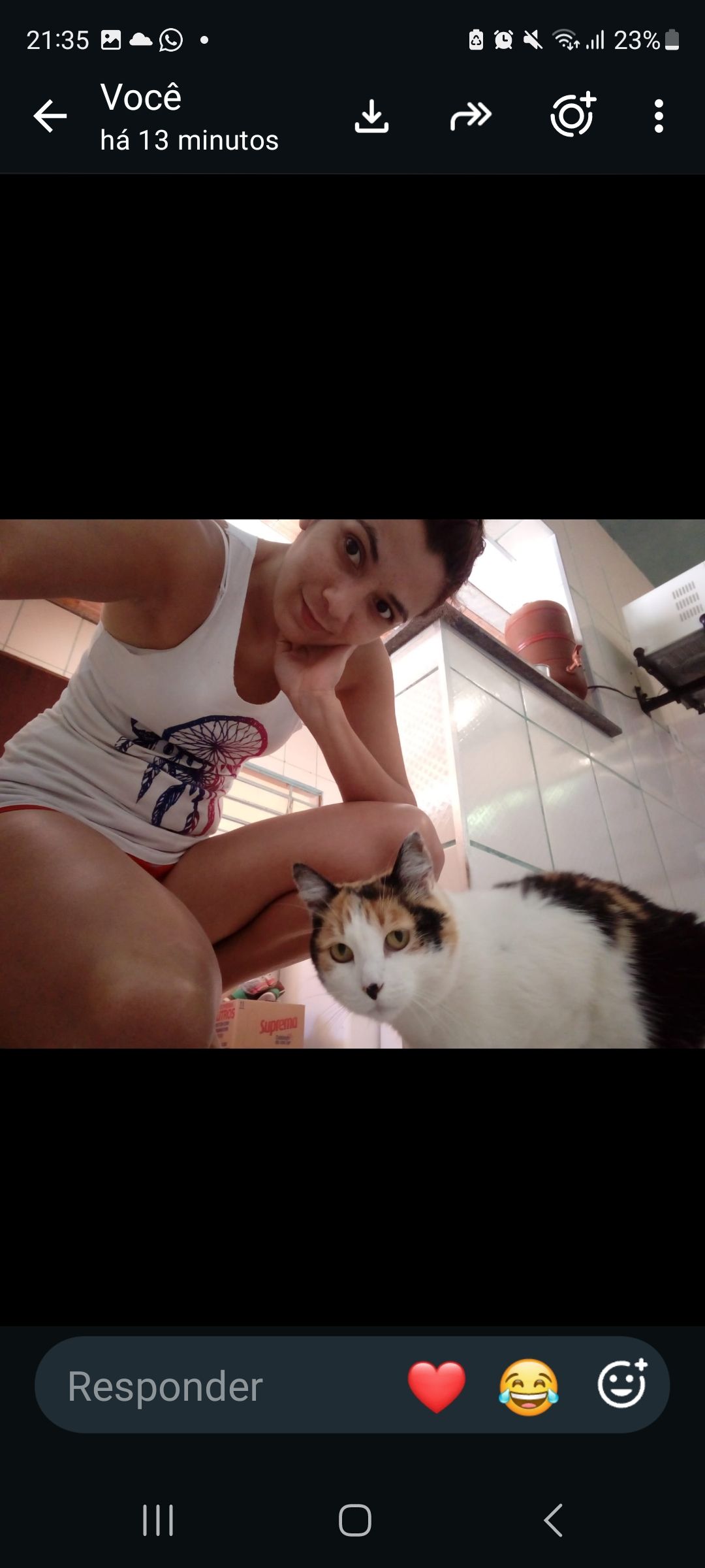 Trabalho de Fernanda Cristina — foto 7