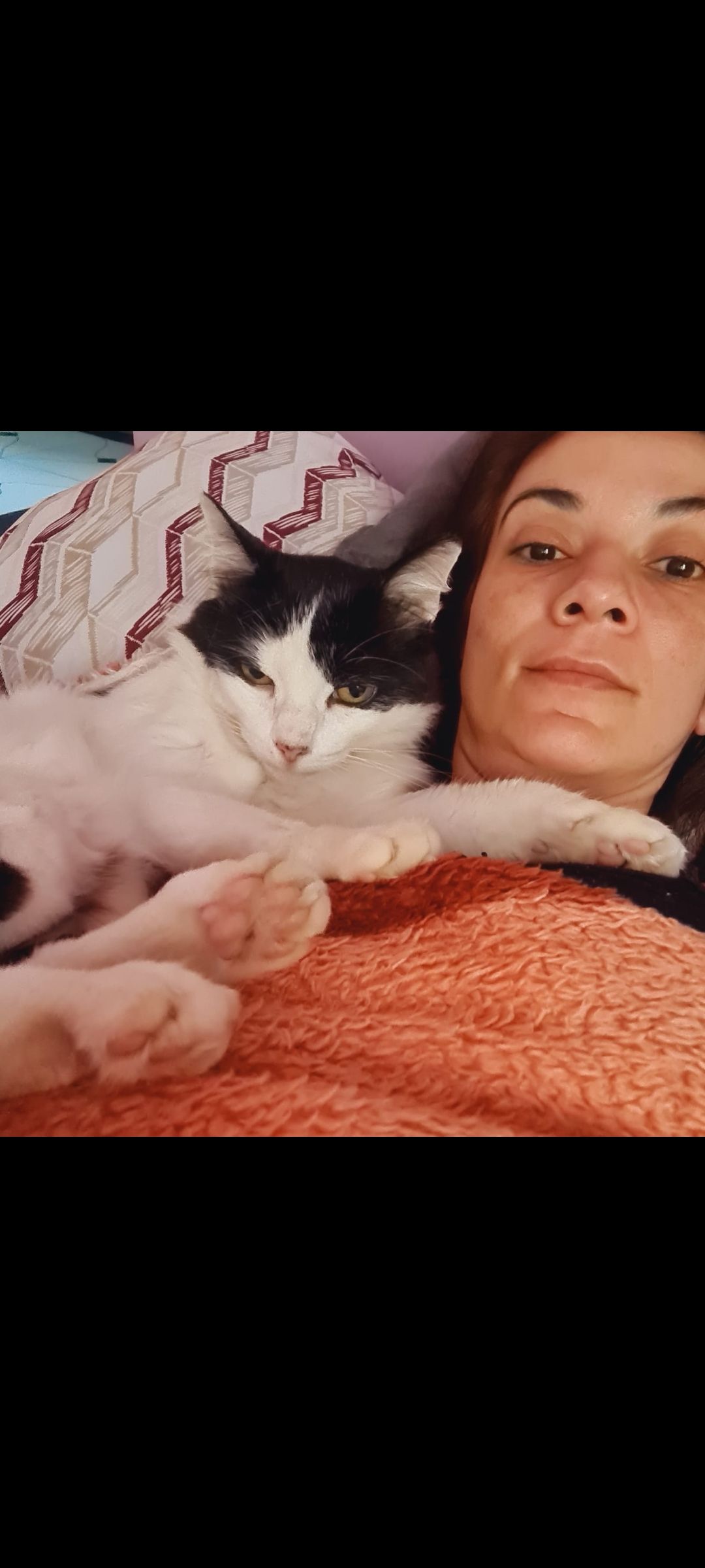 Trabalho de Fernanda Cristina — foto 11