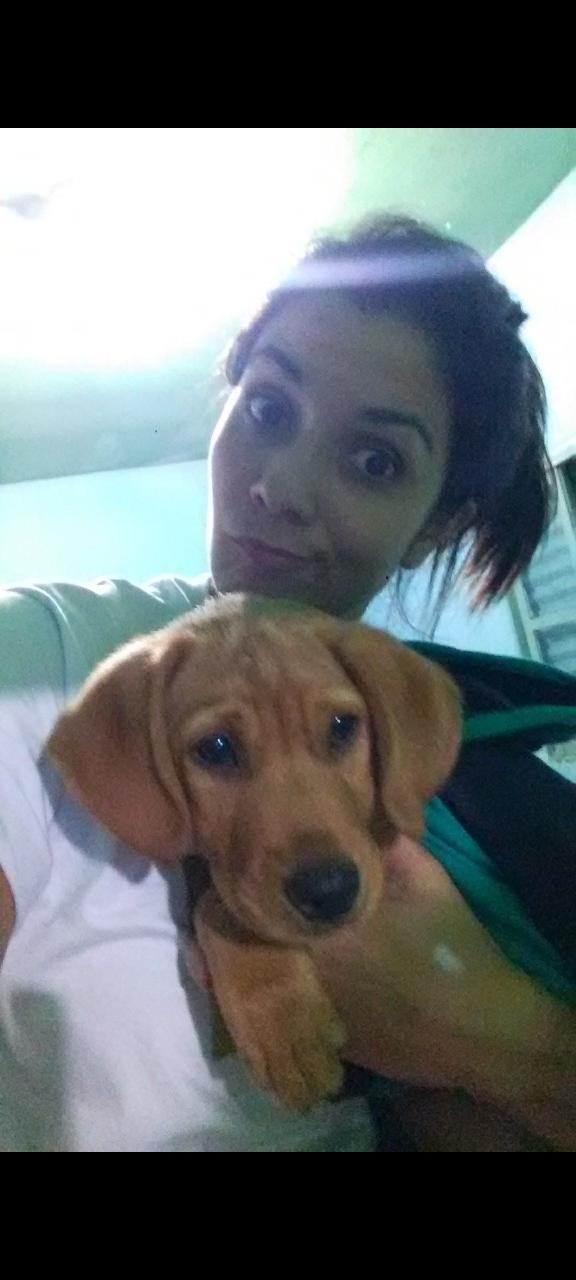 Trabalho de Fernanda Cristina — foto 1