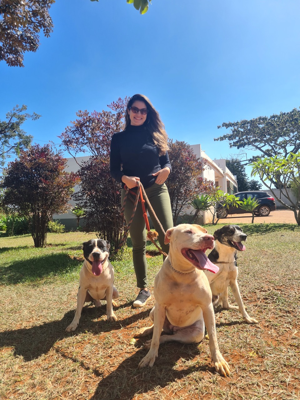 Trabalho de Glaucia Alves — foto 2