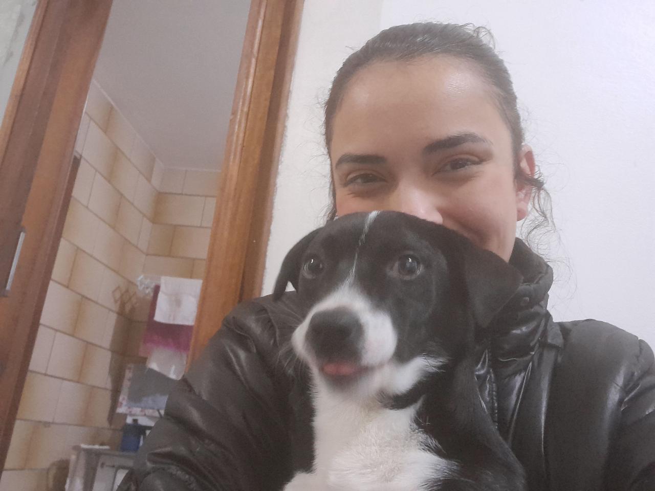 Trabalho de Carolina Prado — foto 1