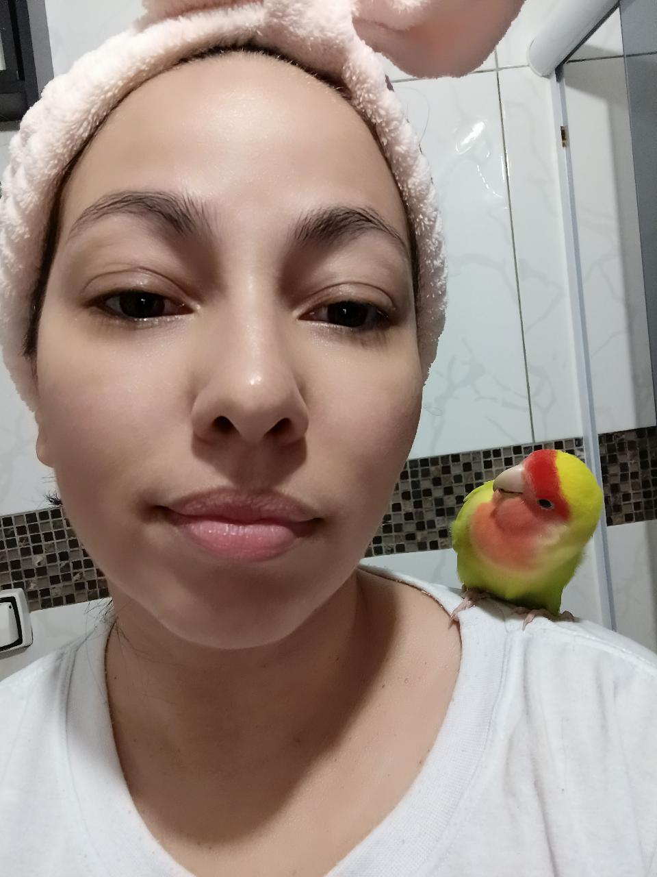 Trabalho de Rafaela Santos — foto 4