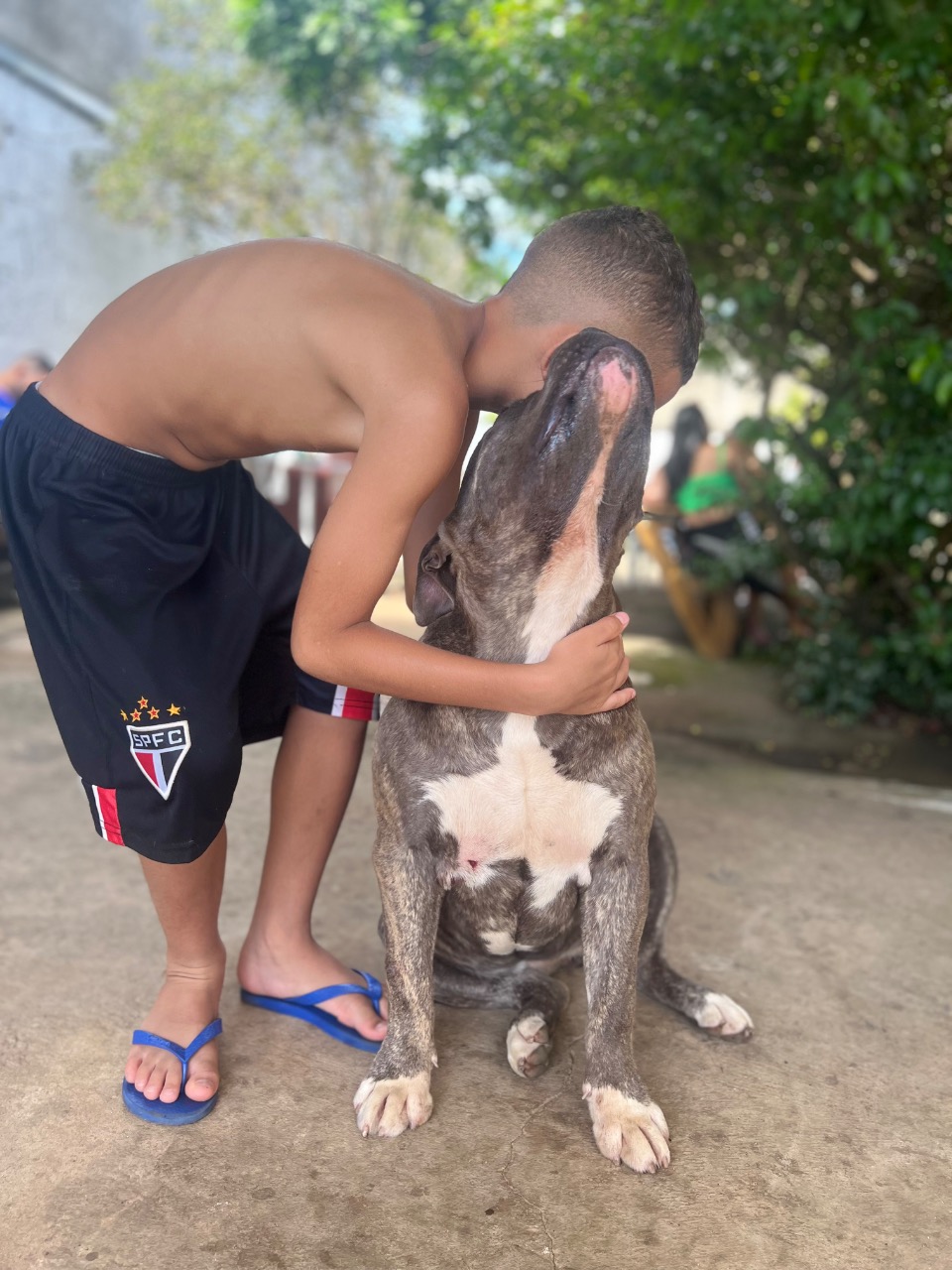 Trabalho de Raul Silva — foto 6