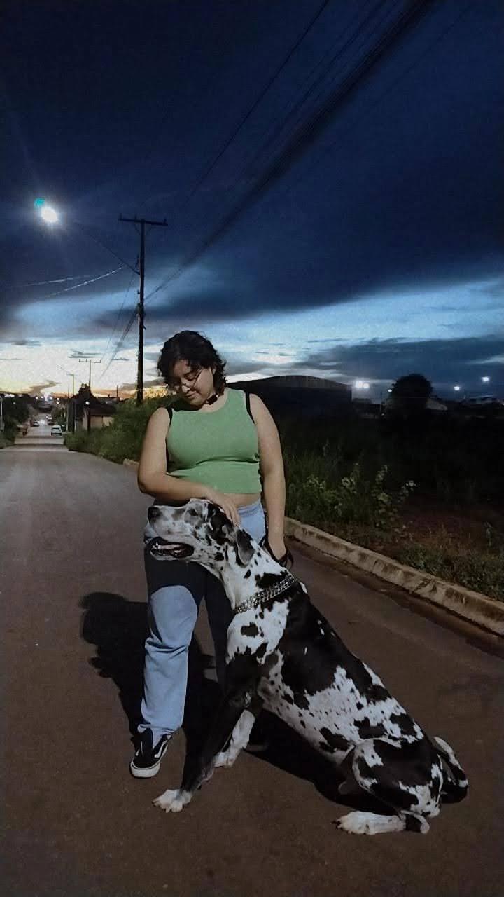 Trabalho de LUDIMILLA KRISSIA — foto 2