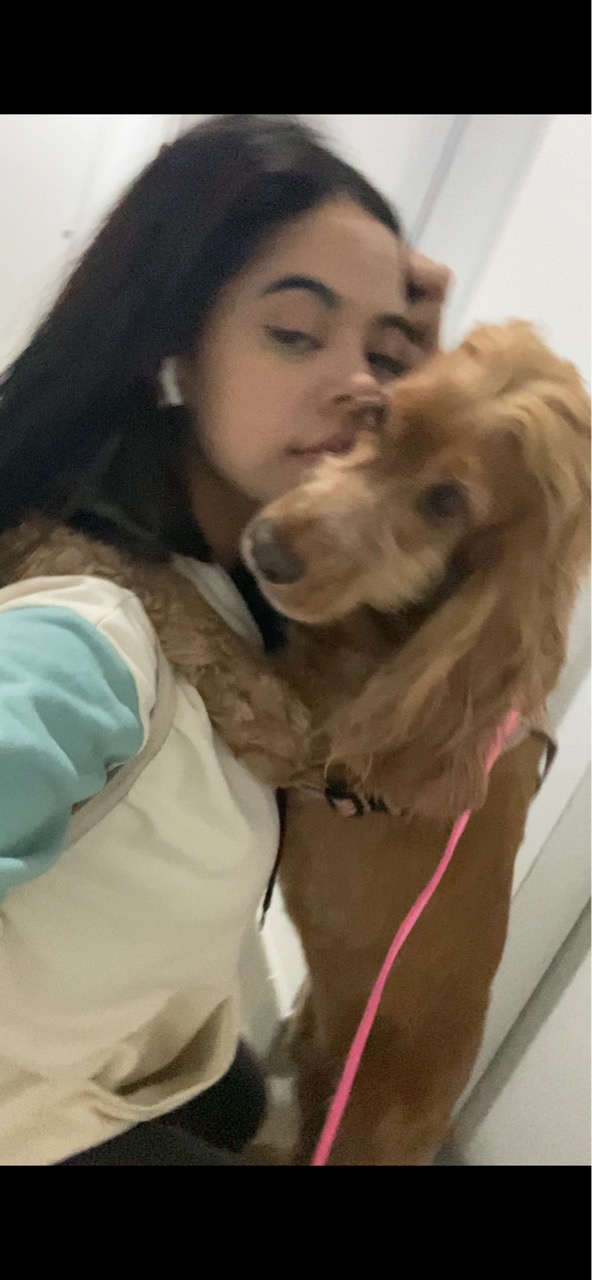 Trabalho de Ana Carolina — foto 1