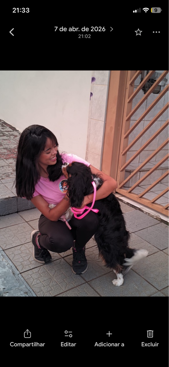Trabalho de Ana Carolina — foto 3