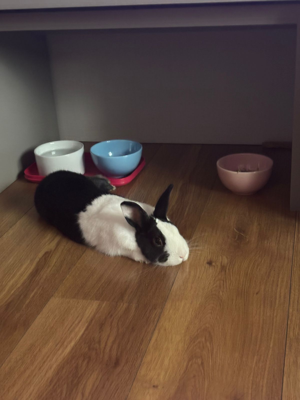 Galeria Beatriz Nogueira Giannini