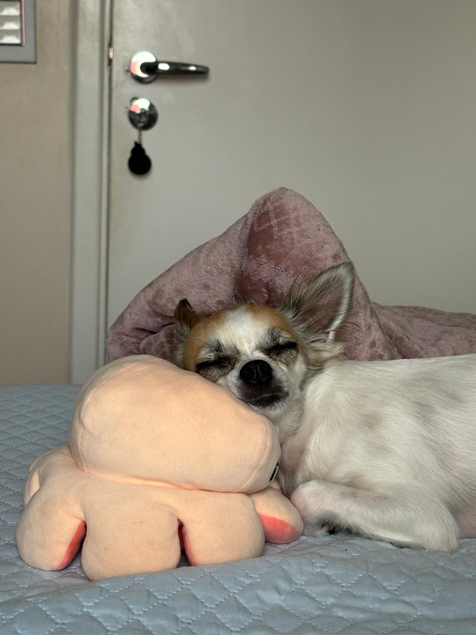 Galeria Beatriz Nogueira Giannini