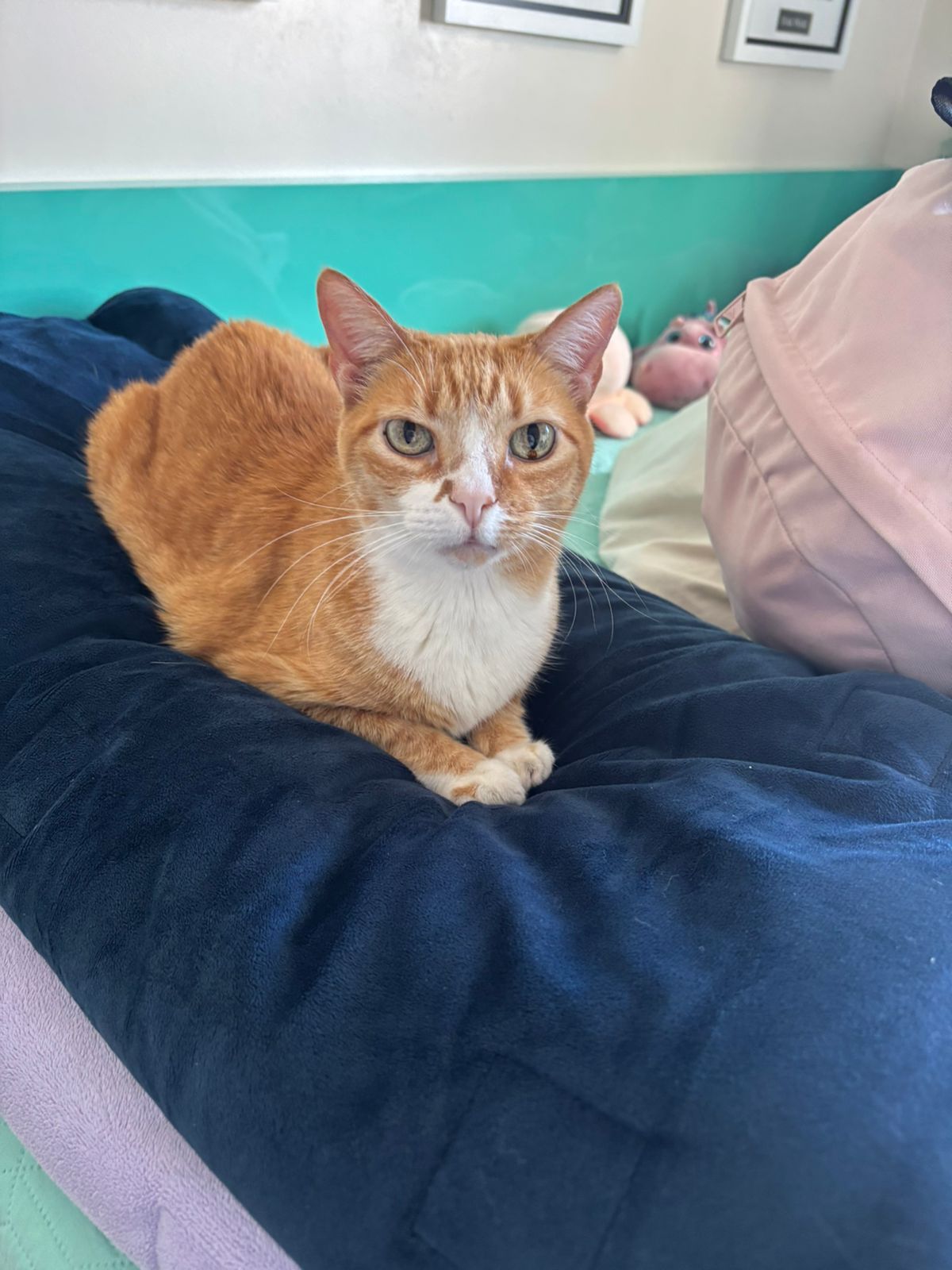 Galeria Beatriz Nogueira Giannini