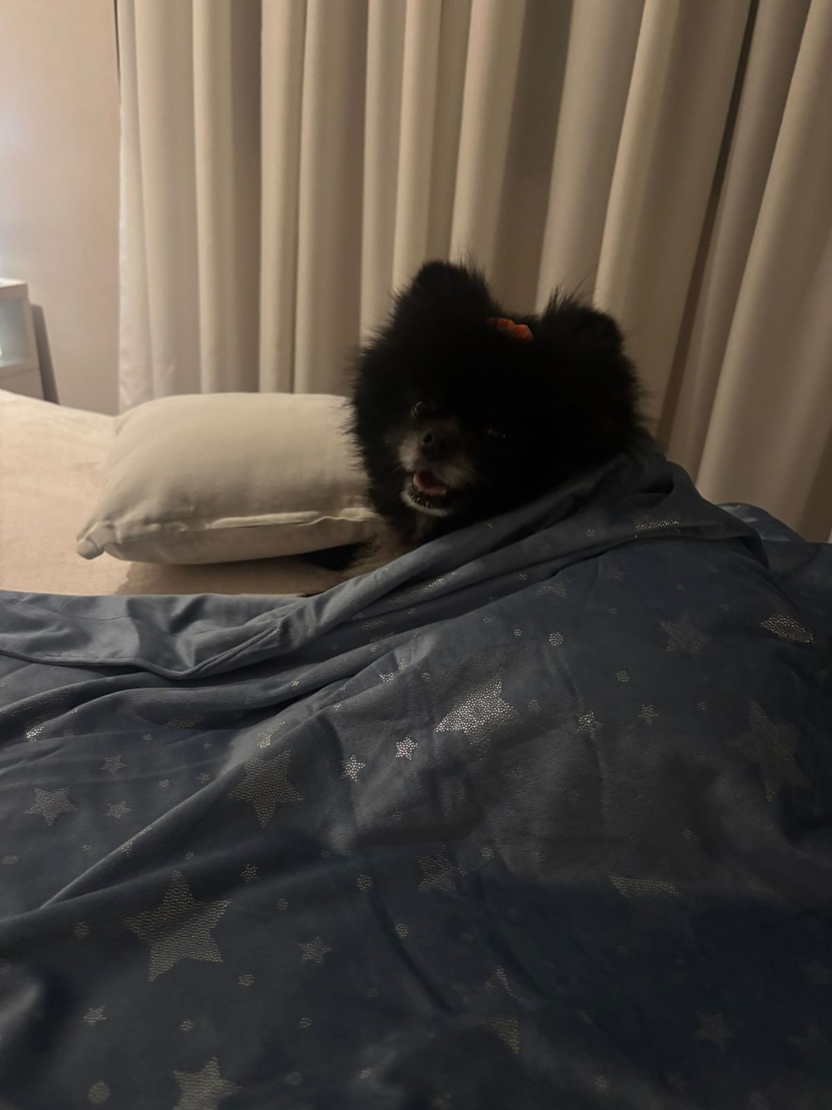 Galeria Beatriz Nogueira Giannini