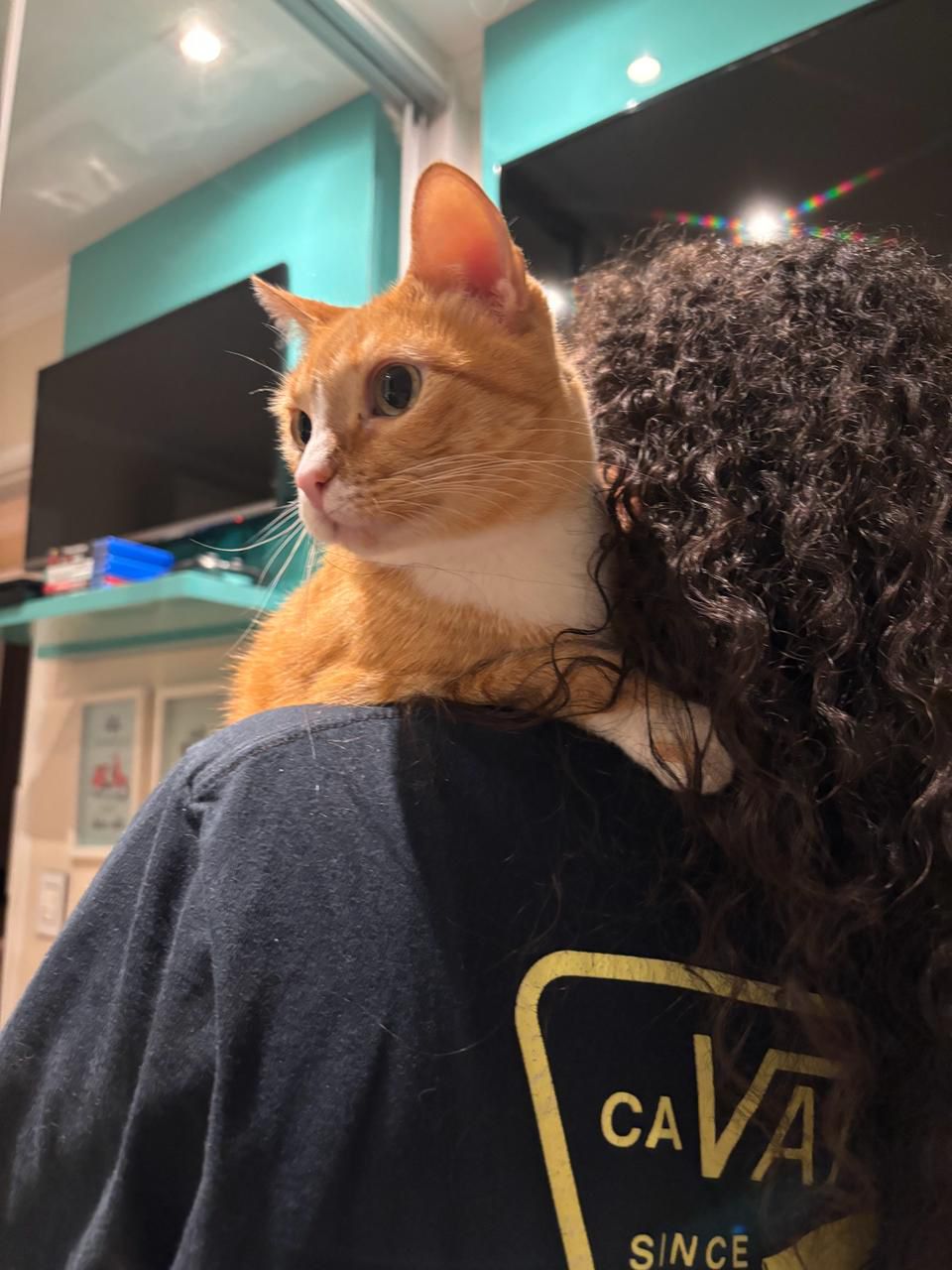 Galeria Beatriz Nogueira Giannini