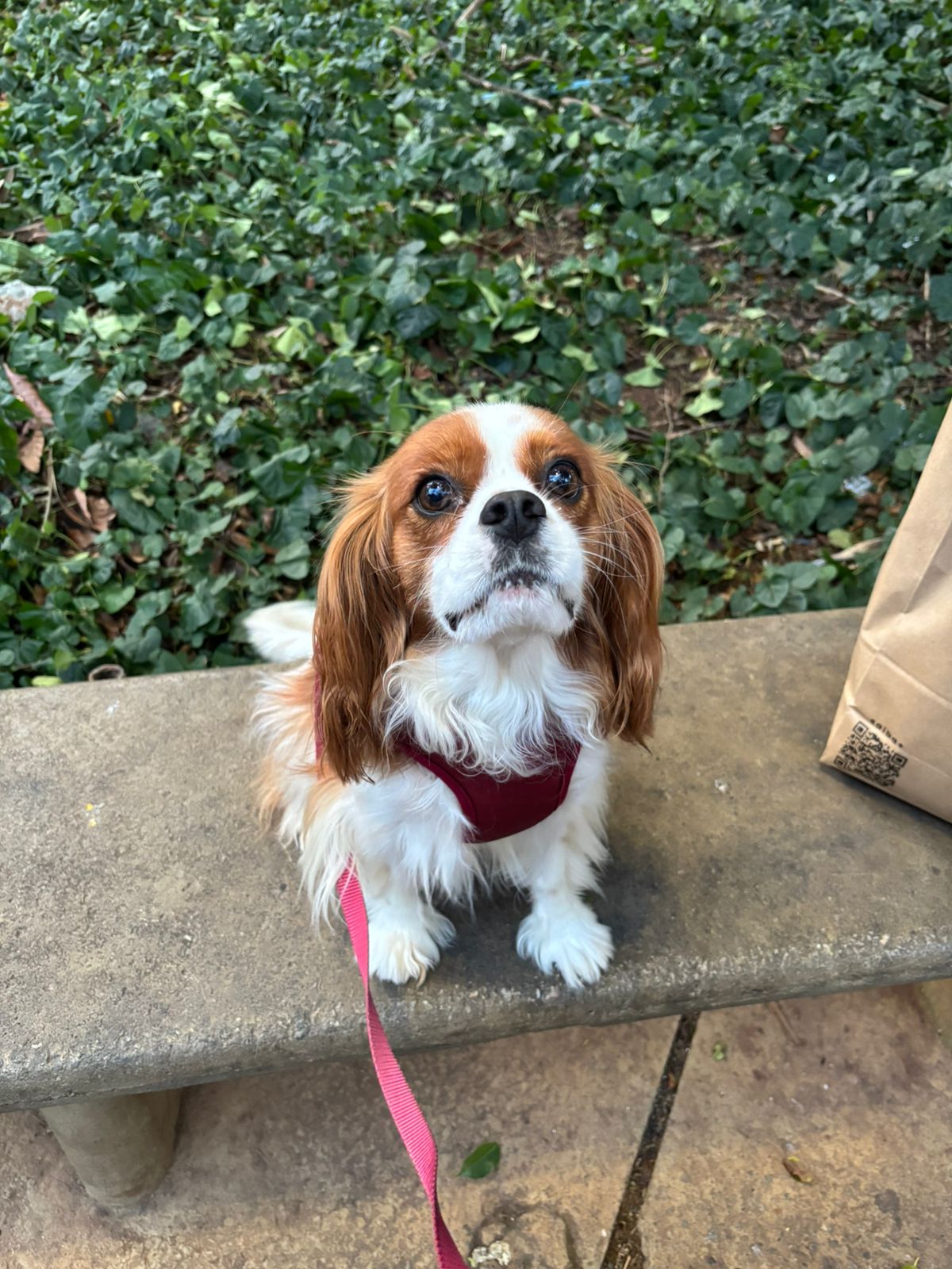 Galeria Beatriz Nogueira Giannini