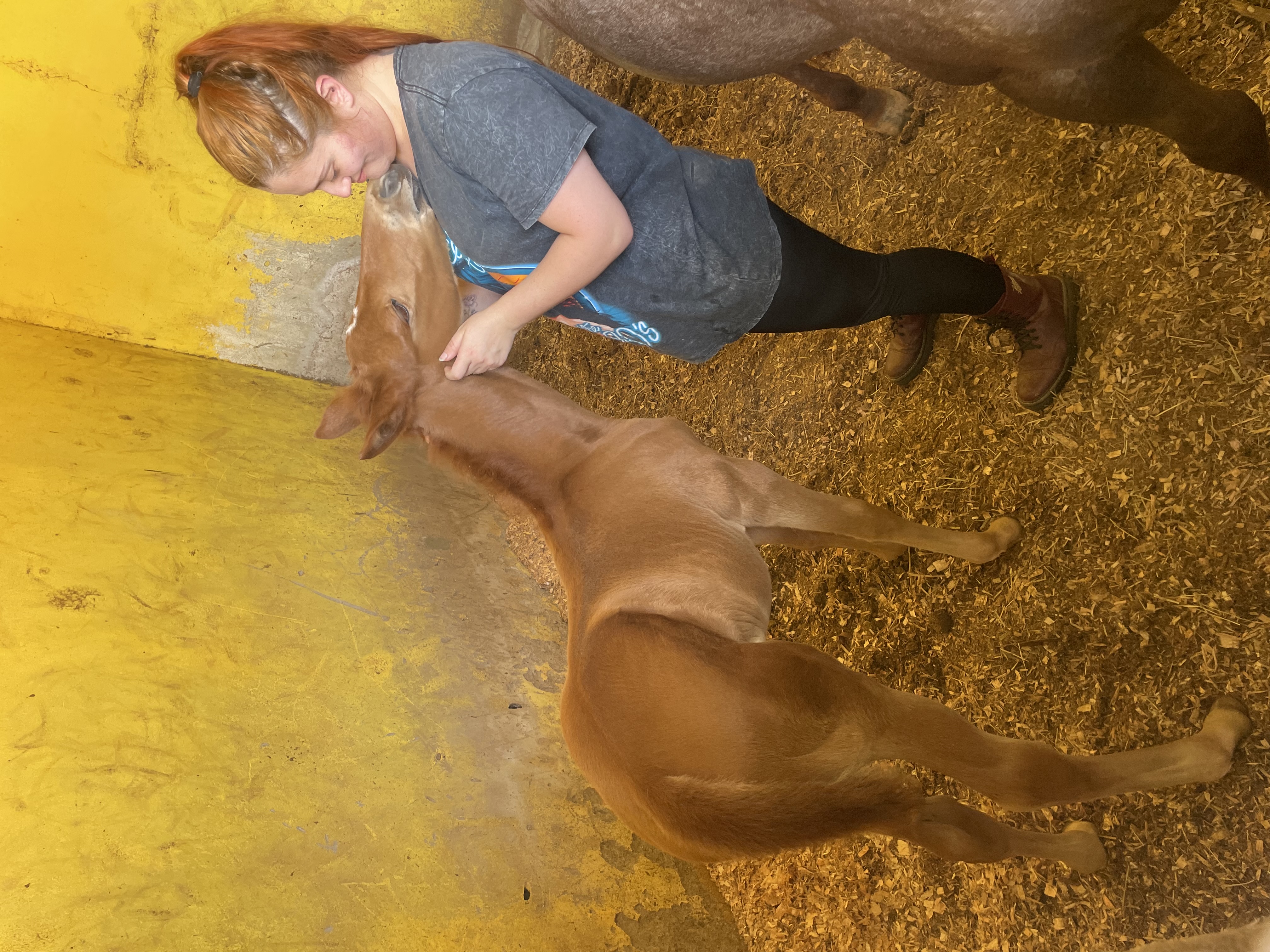 Thais de Freitas Bernardi