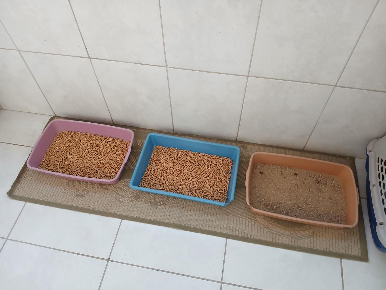 Trabalho de Stéphanie Pio — foto 4
