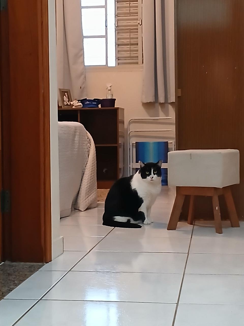 Trabalho de Stéphanie Pio — foto 5
