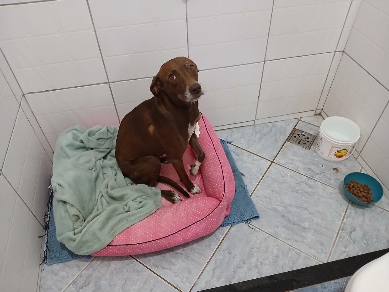 Trabalho de Stéphanie Pio — foto 8