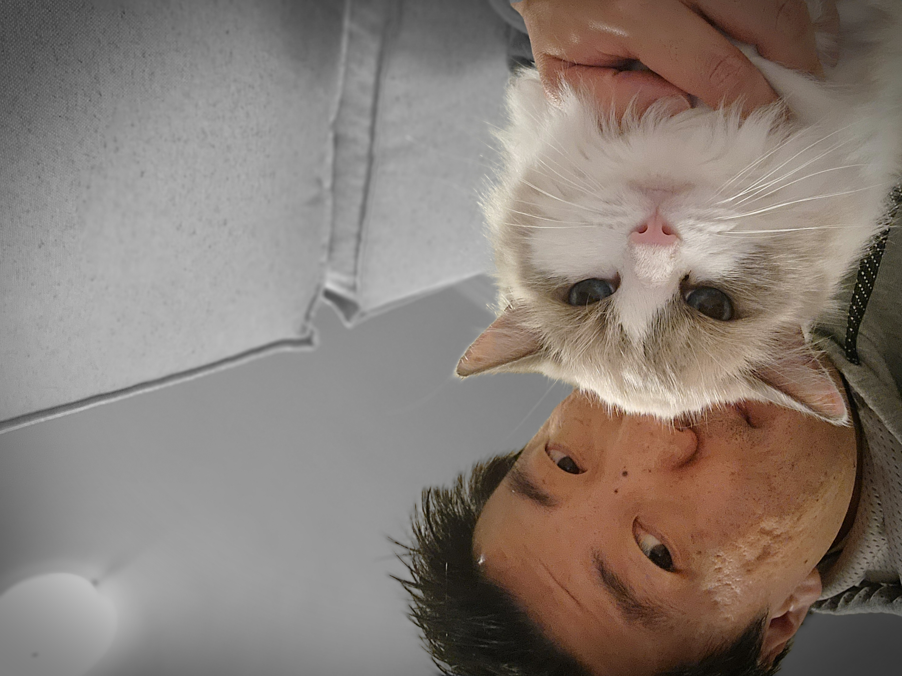 Galeria Gabriel Takashi Maeda