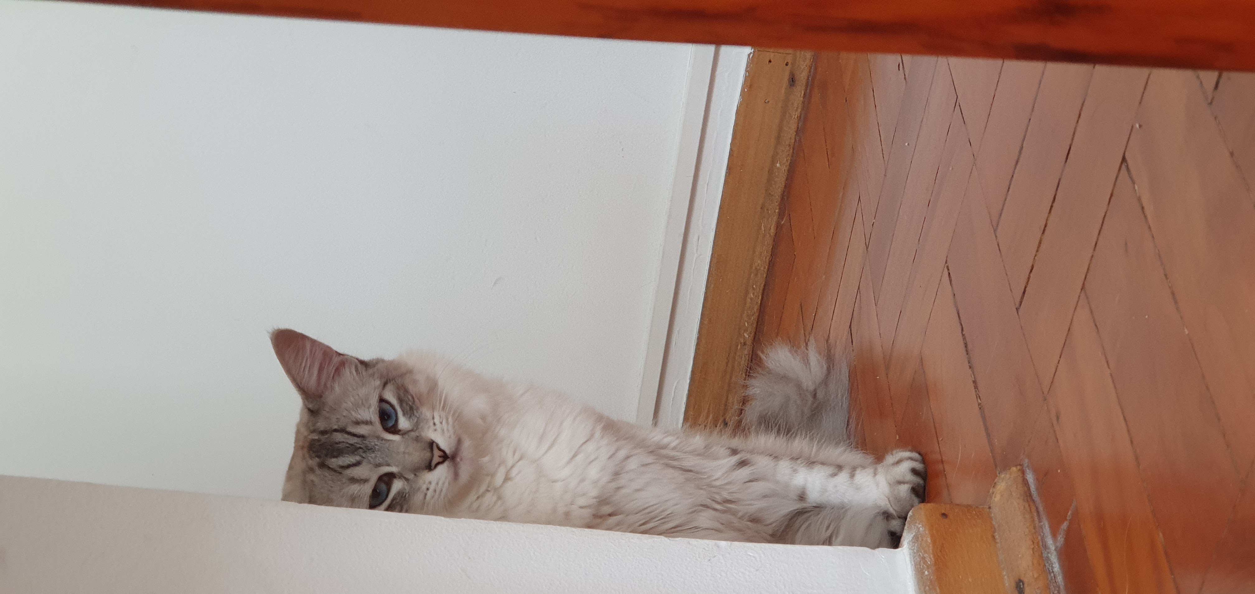 Galeria Gabriel Takashi Maeda