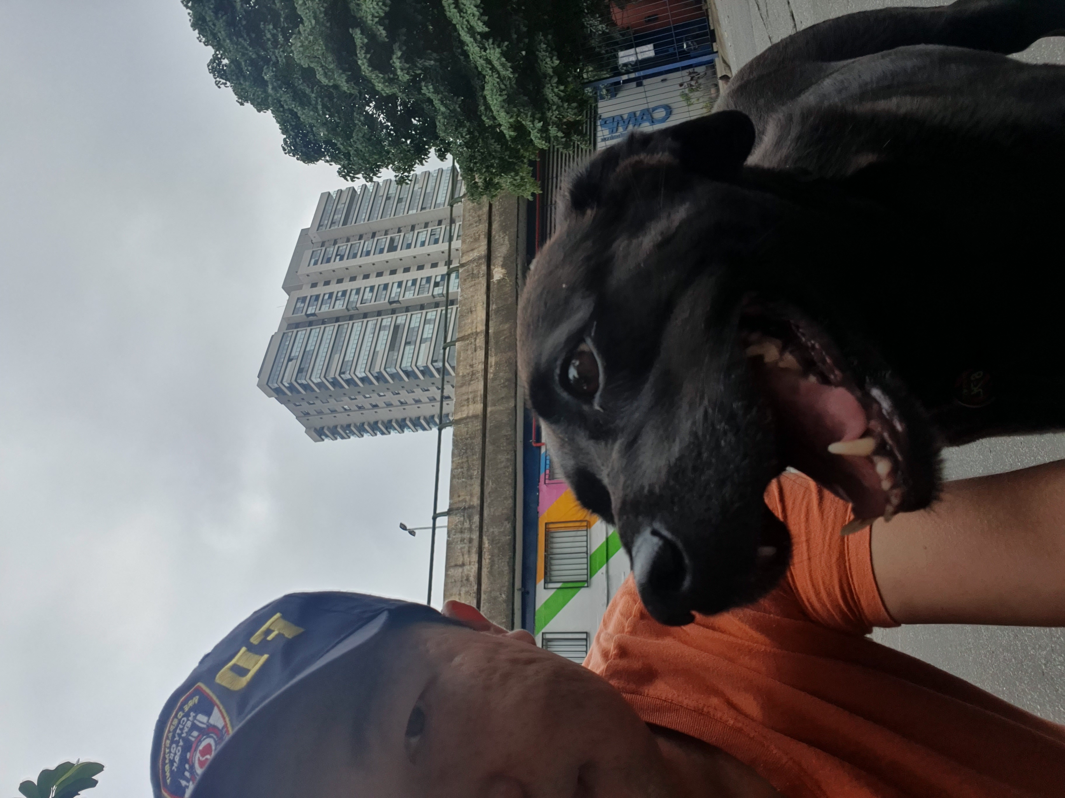 Galeria Gabriel Takashi Maeda