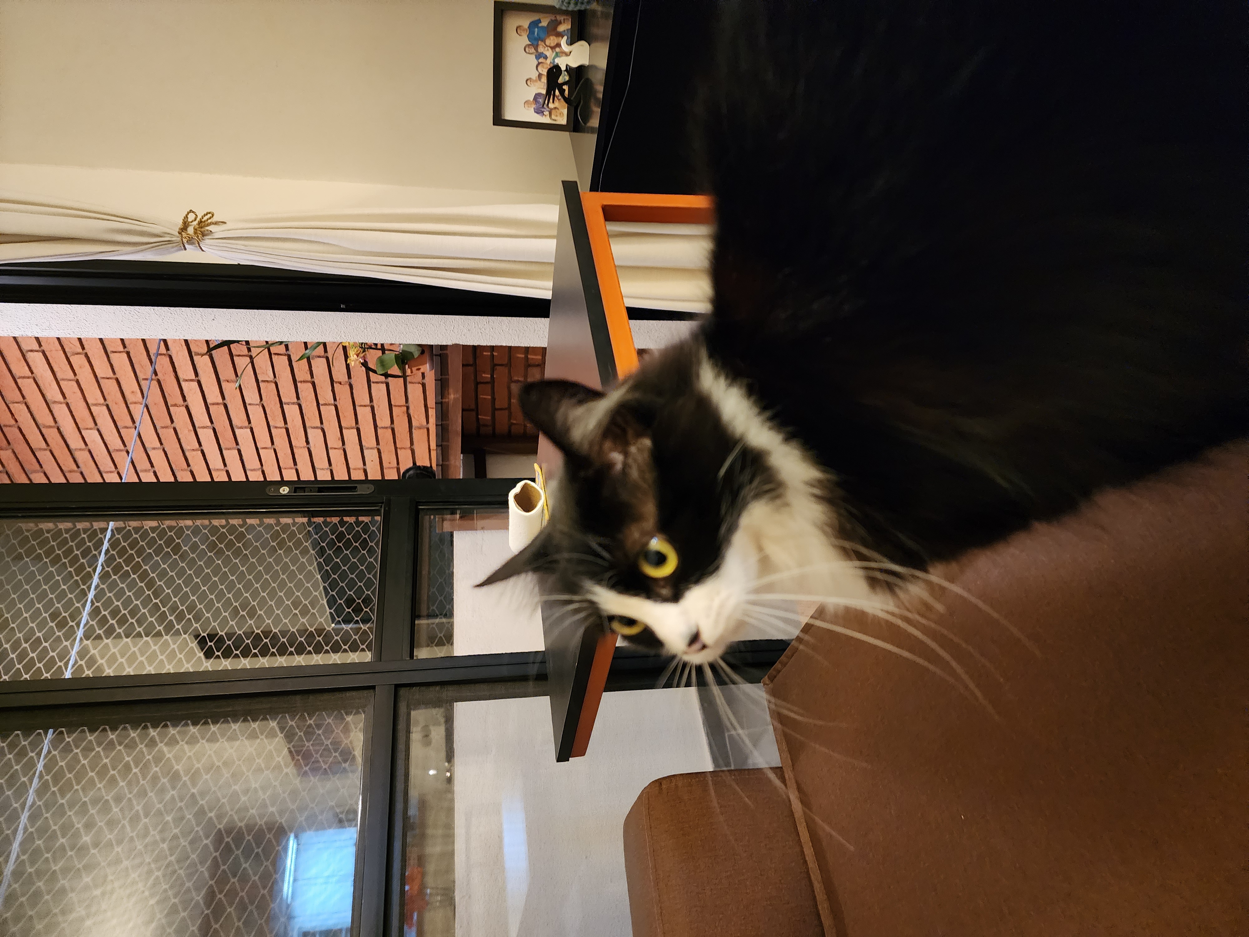 Galeria Gabriel Takashi Maeda