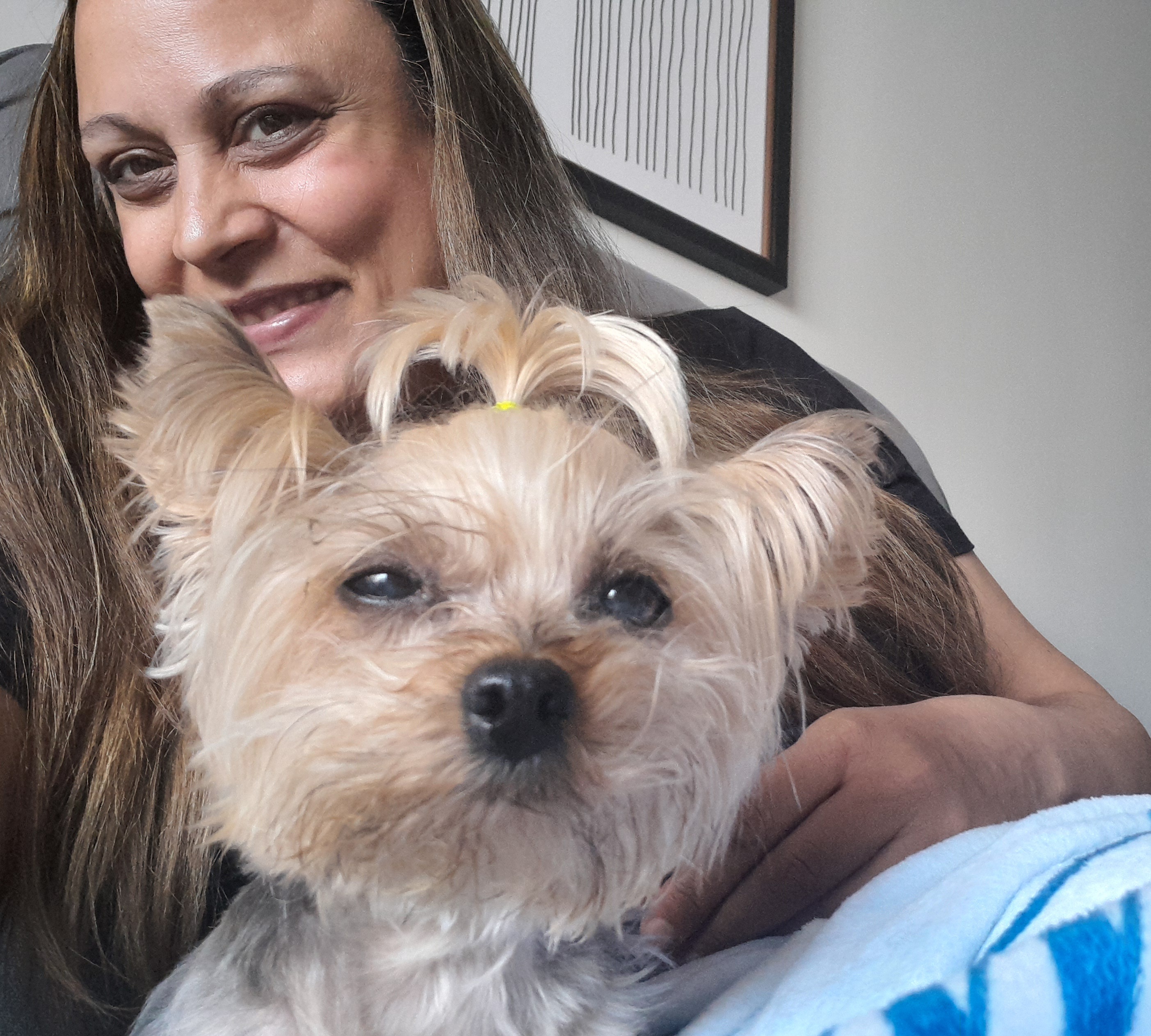 Capa Ligia Daré da Luz