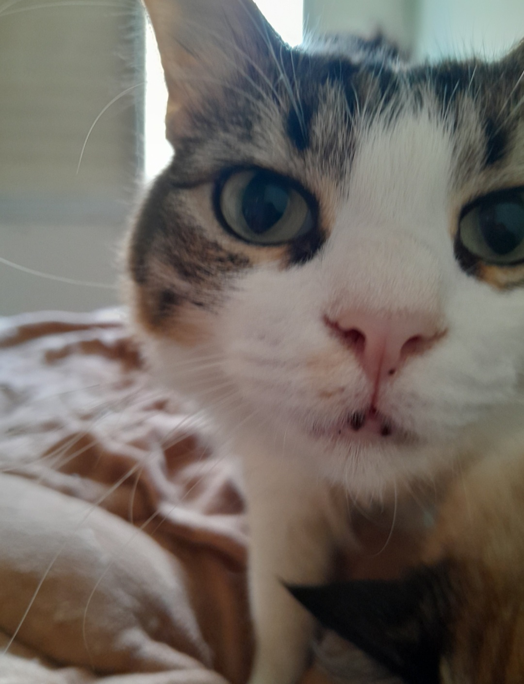 Galeria Ligia Daré da Luz