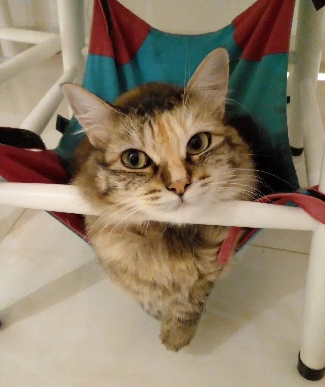 Galeria Ligia Daré da Luz