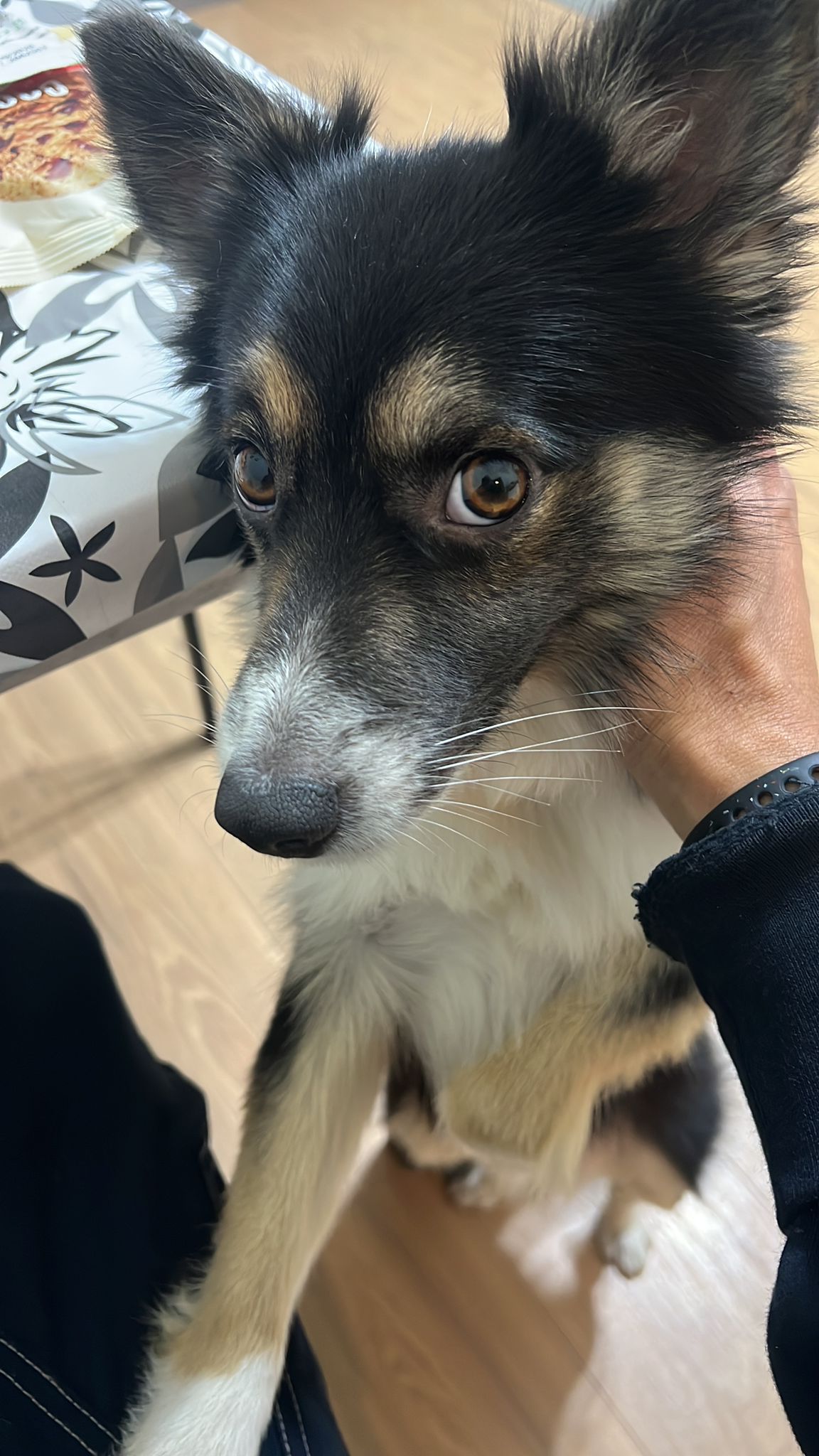 Galeria Ligia Daré da Luz