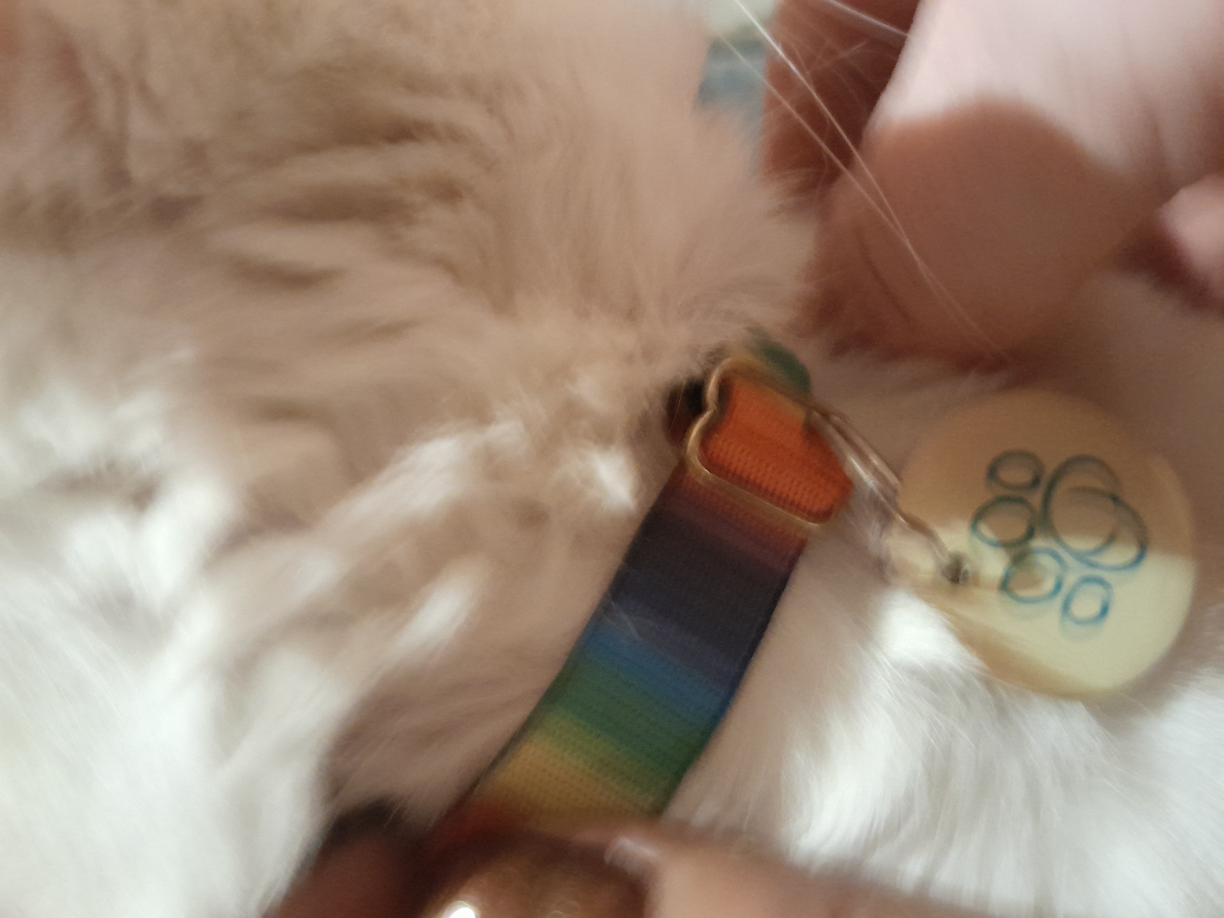 Galeria Ligia Daré da Luz