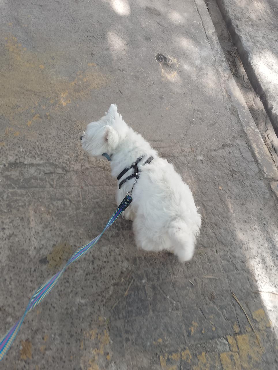 Trabalho de Gabriela da — foto 4