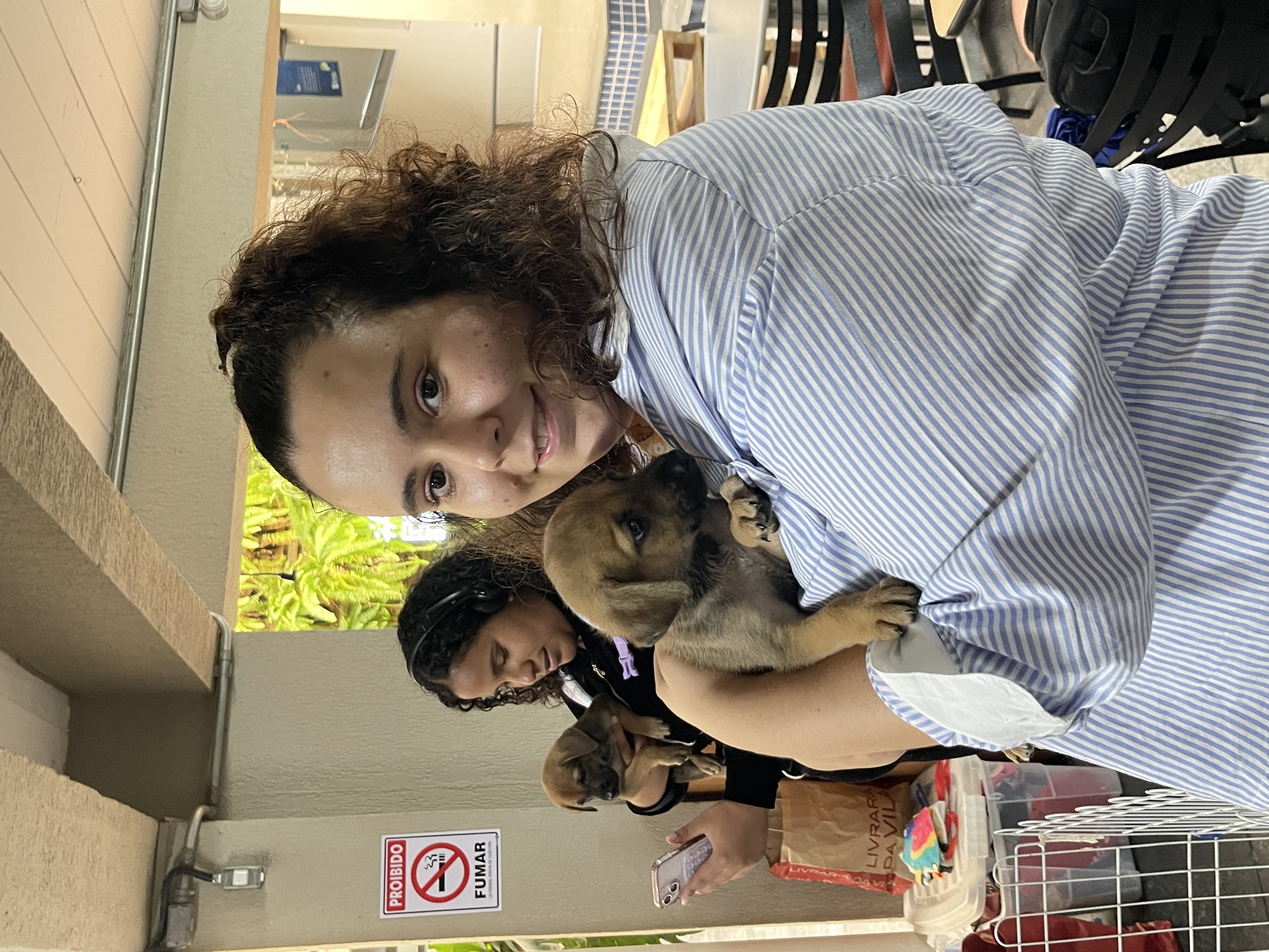Trabalho de Isabela Rodrigues — foto 12