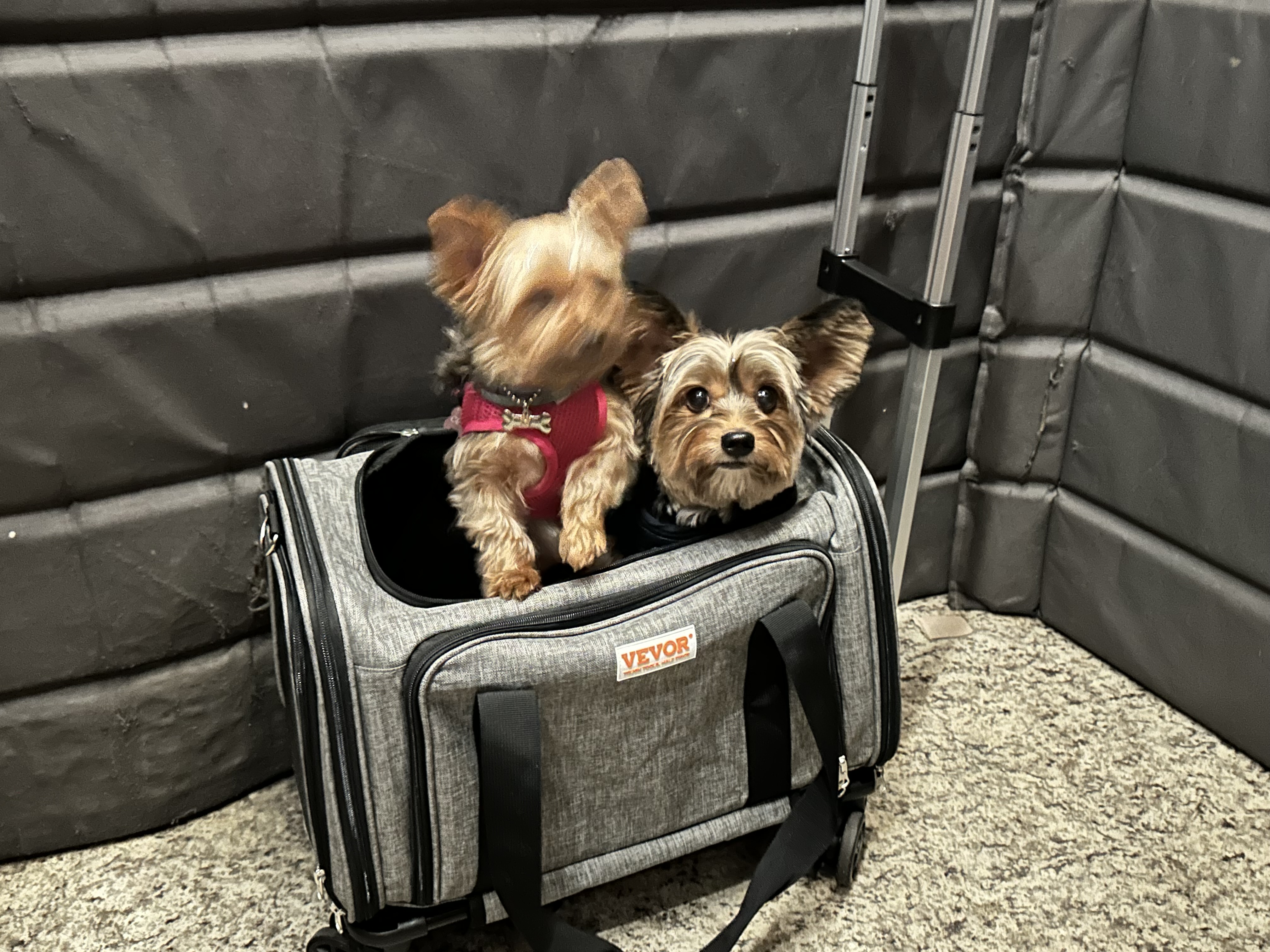 Capa Caio Barros Venturi