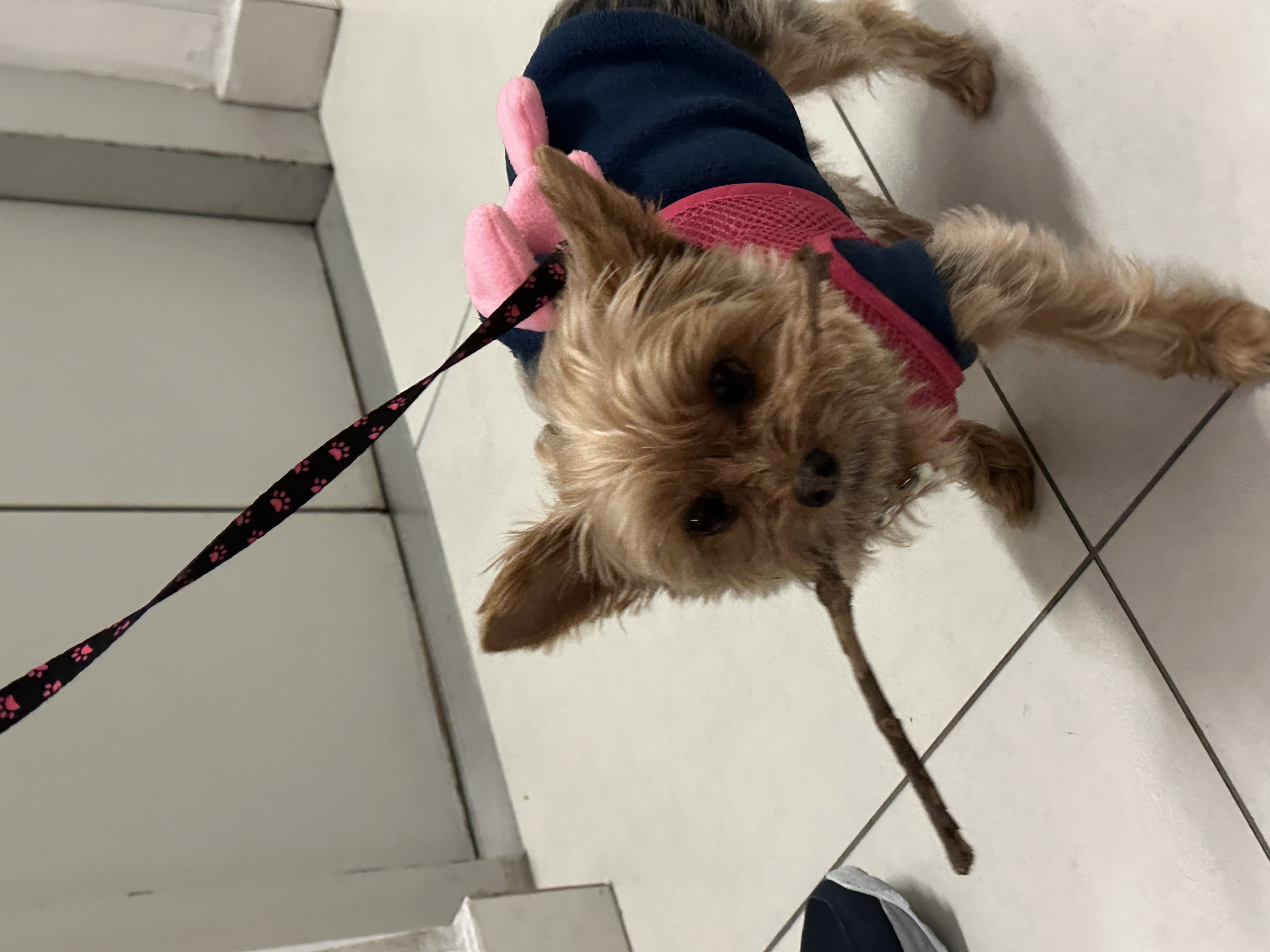 Galeria Caio Barros Venturi