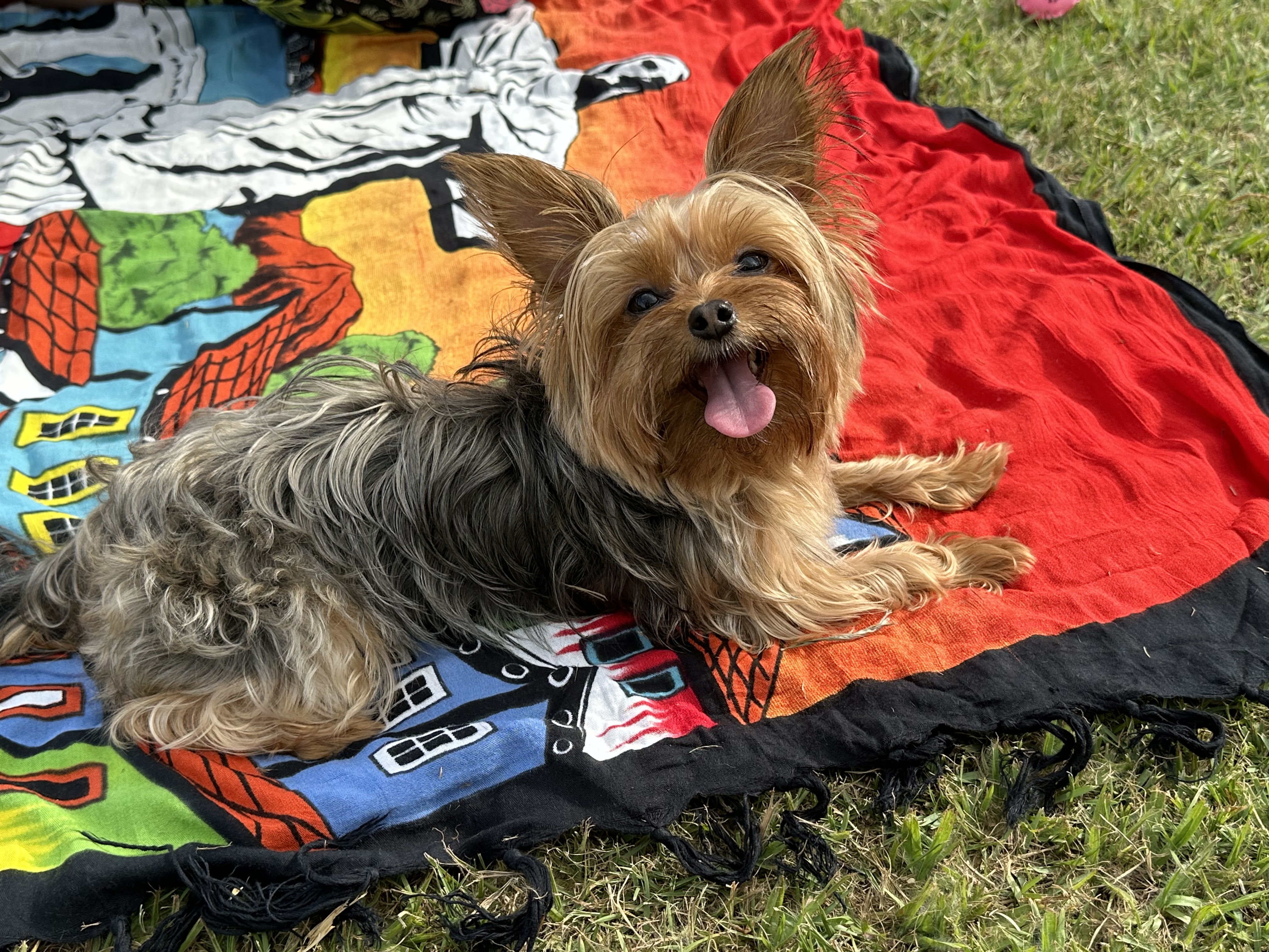 Galeria Caio Barros Venturi