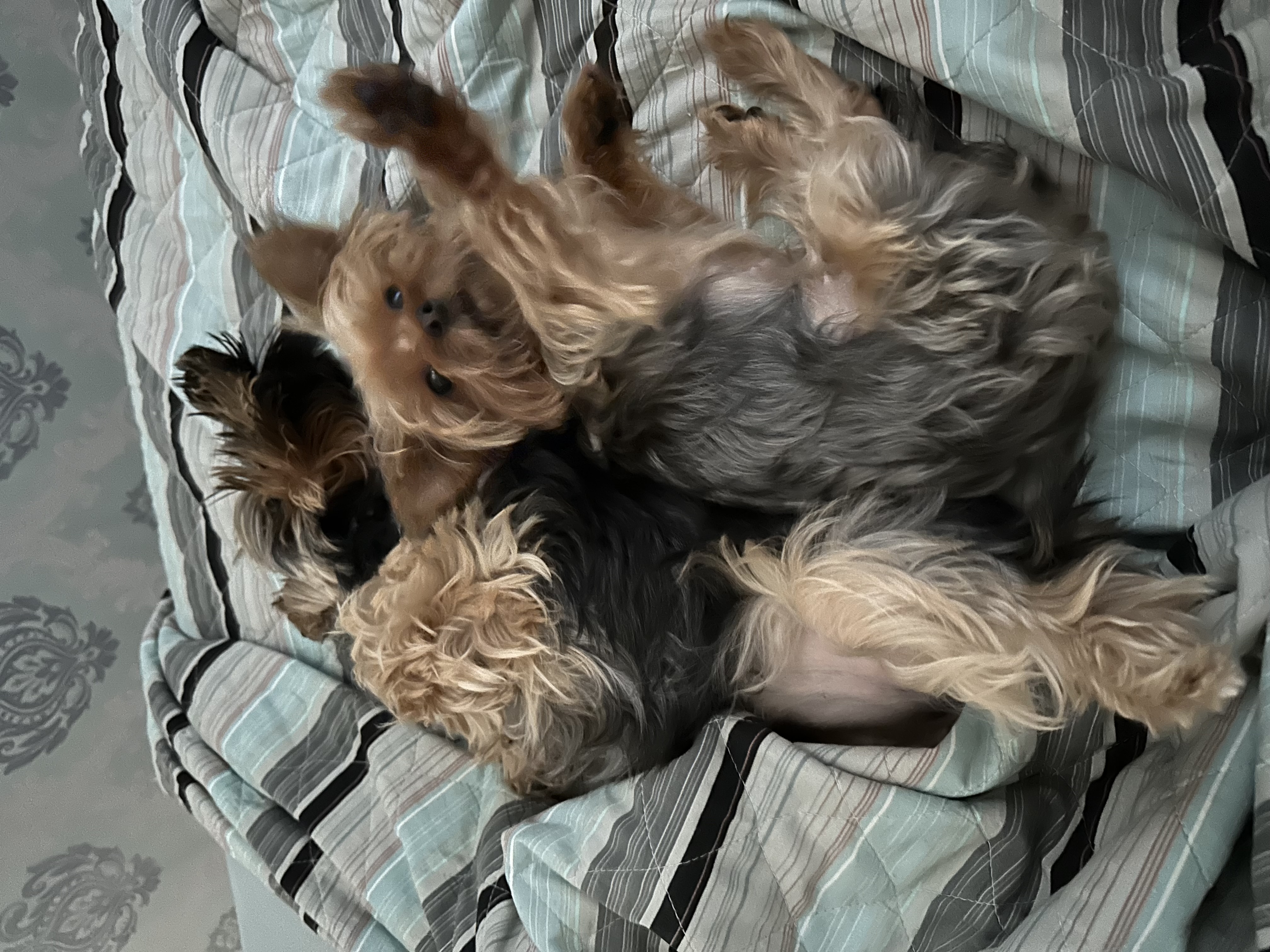 Galeria Caio Barros Venturi