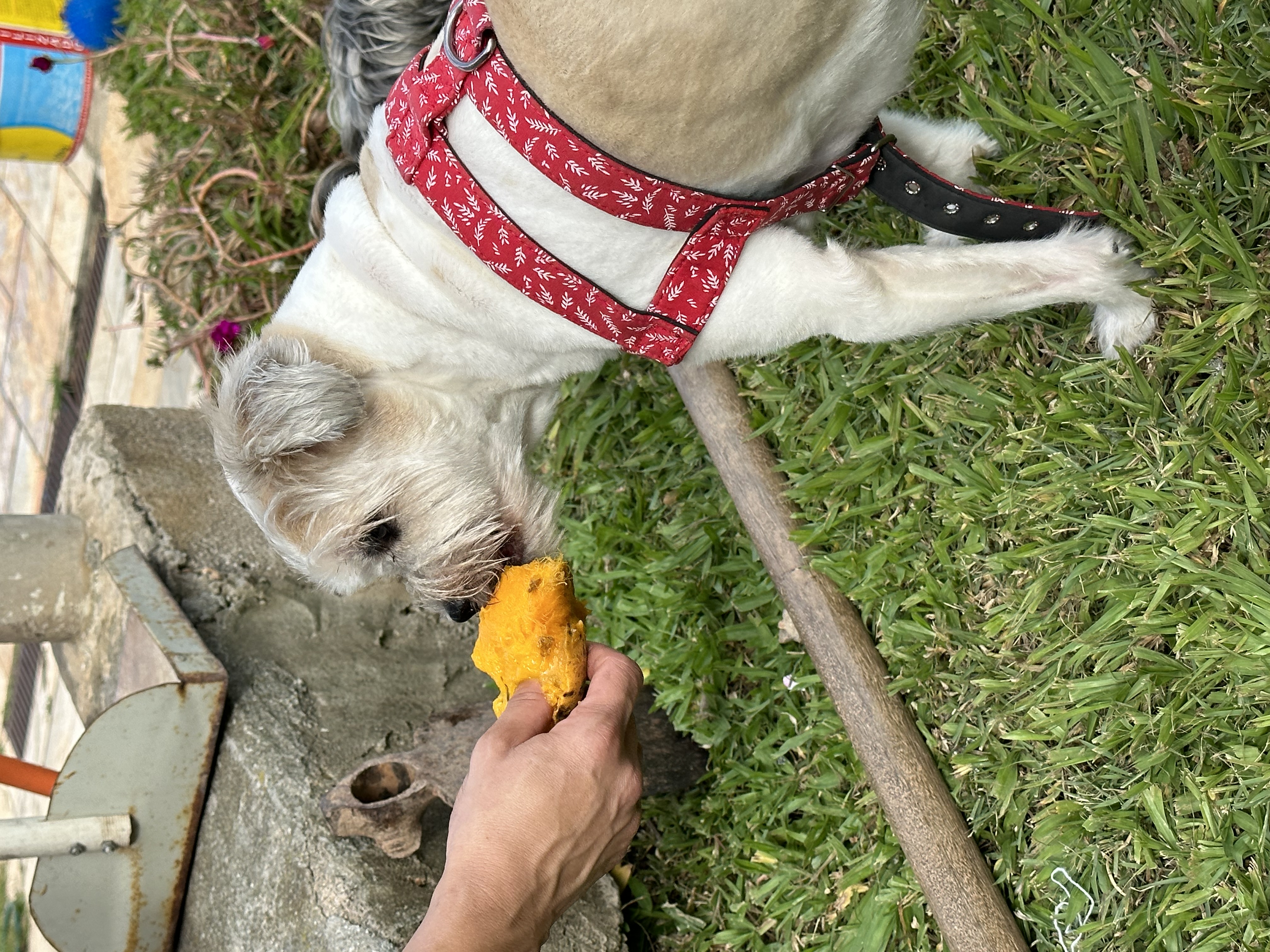 Galeria Caio Barros Venturi