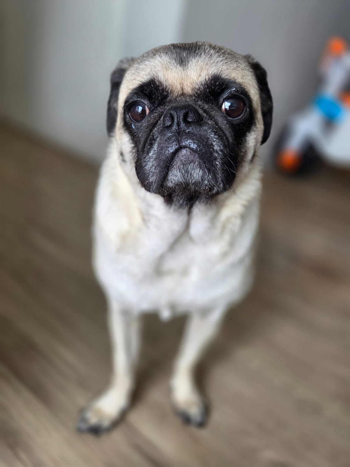 Galeria Caio Barros Venturi