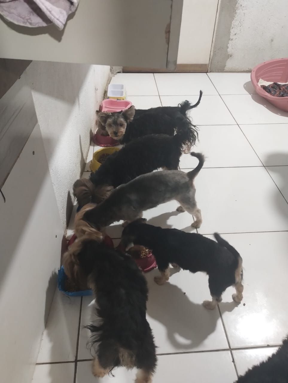 Trabalho de Matilde Alencar — foto 1