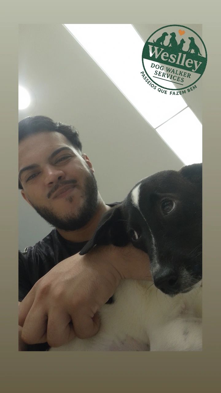 Galeria Weslley Felipe de Araujo