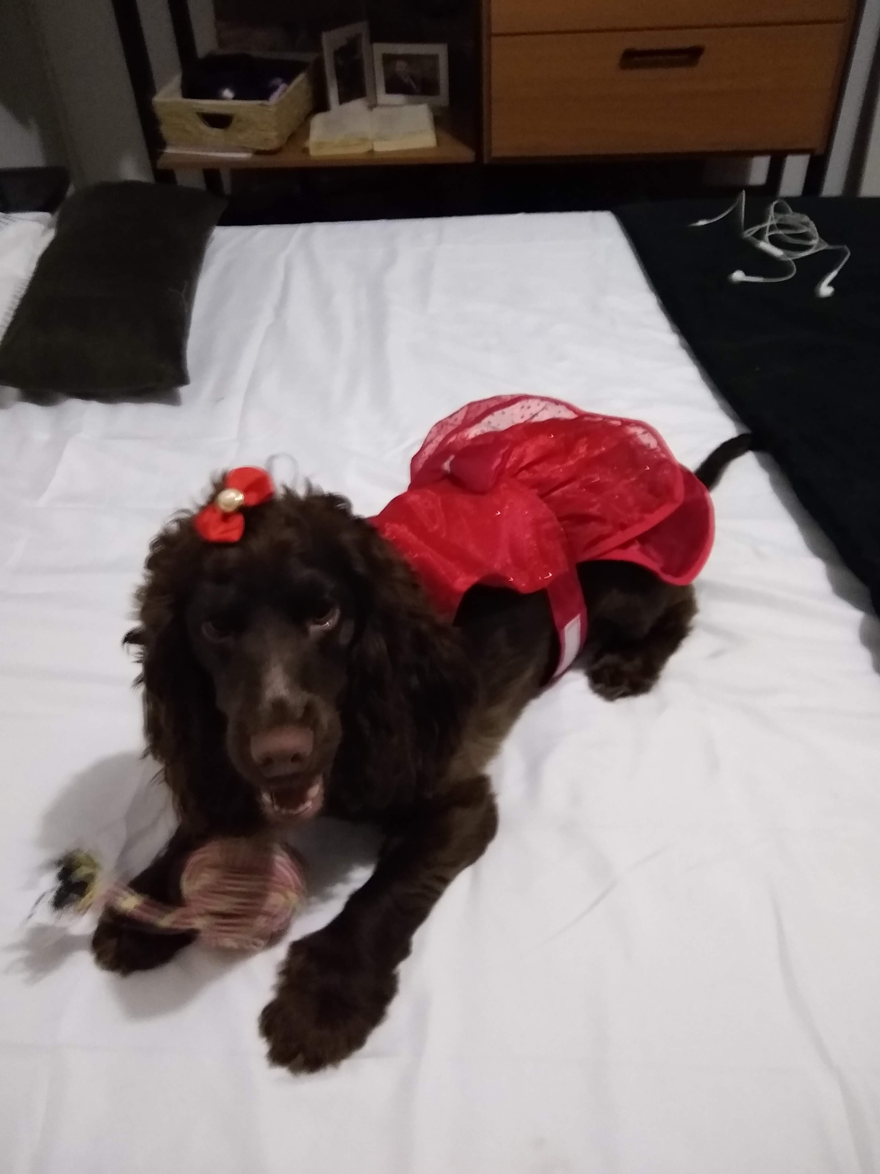 Galeria MARIA EDUARDA RIBEIRO DE LIMA