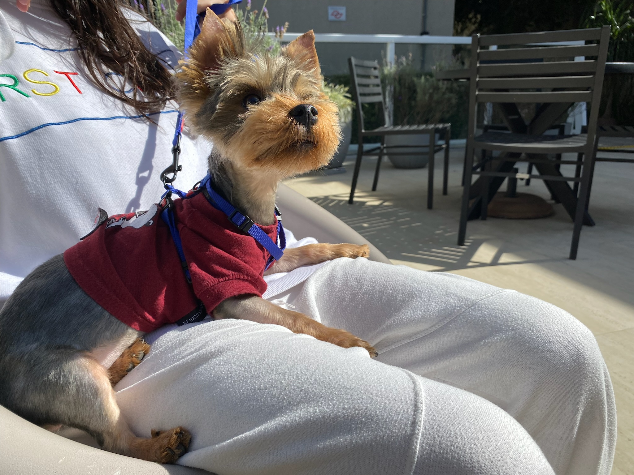 Galeria Samara Vasconcelos Nascimento 