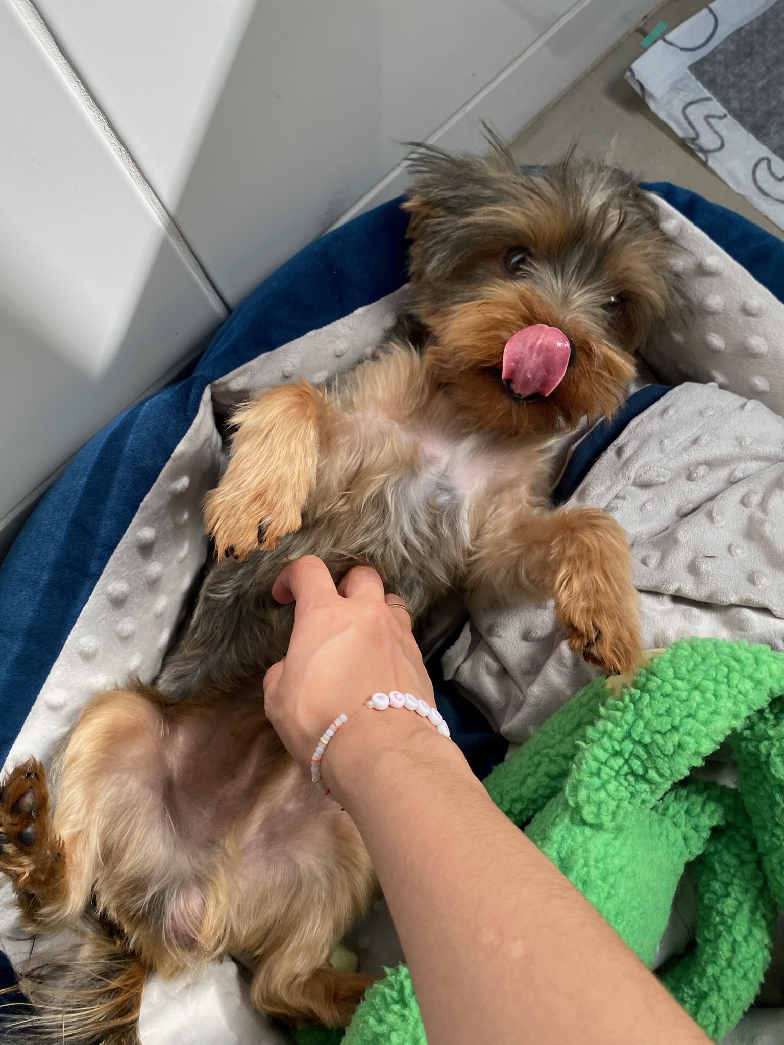 Galeria Samara Vasconcelos Nascimento 