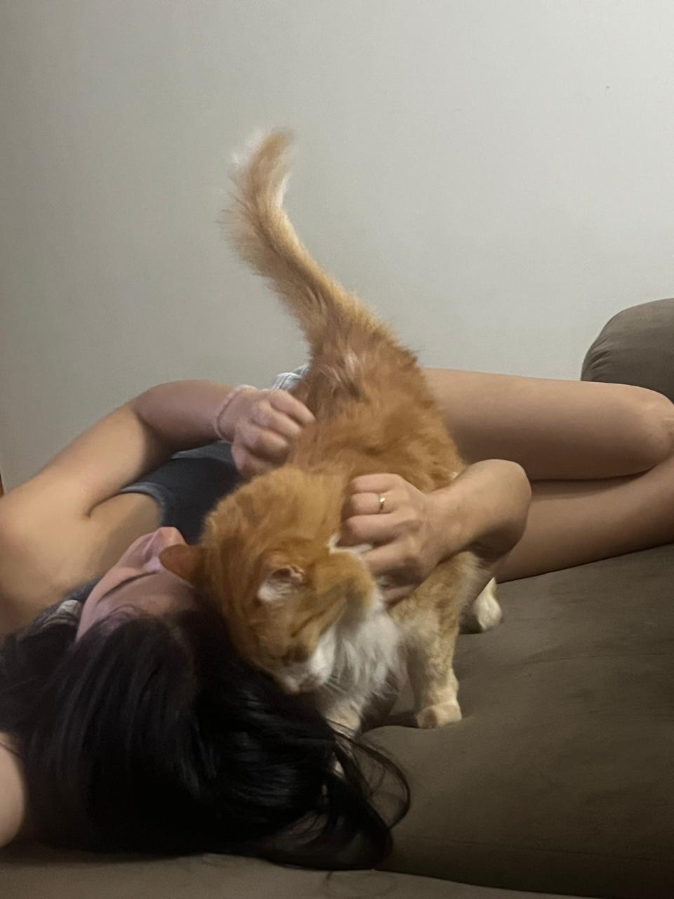 Galeria Samara Vasconcelos Nascimento 