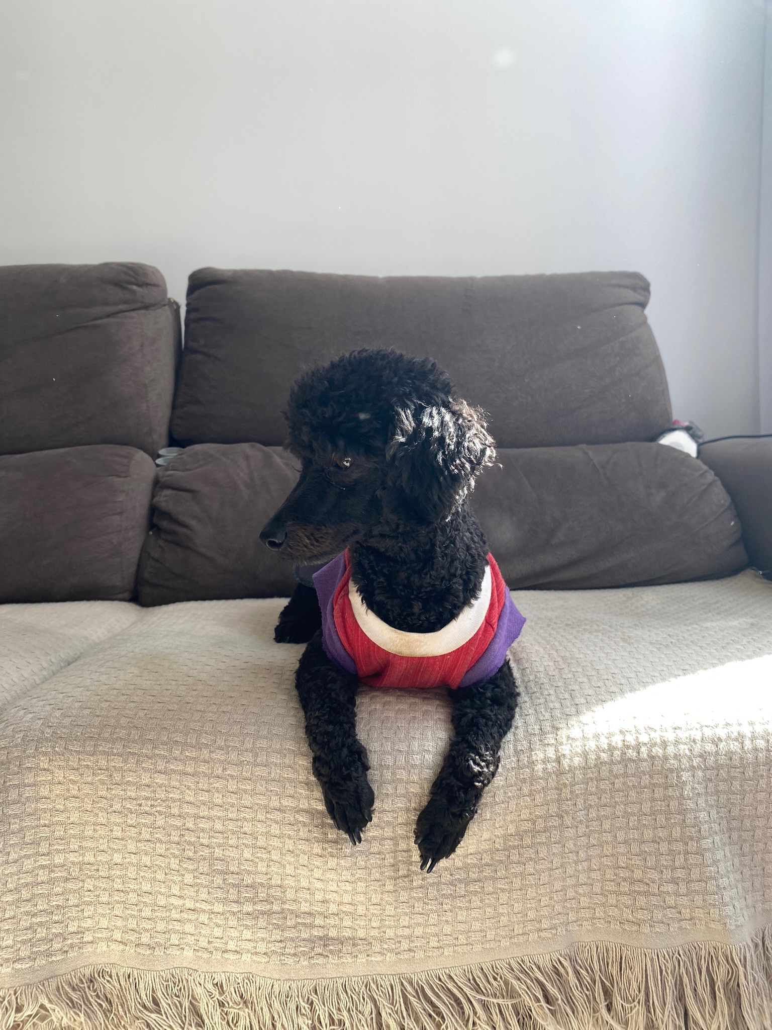 Galeria Samara Vasconcelos Nascimento 